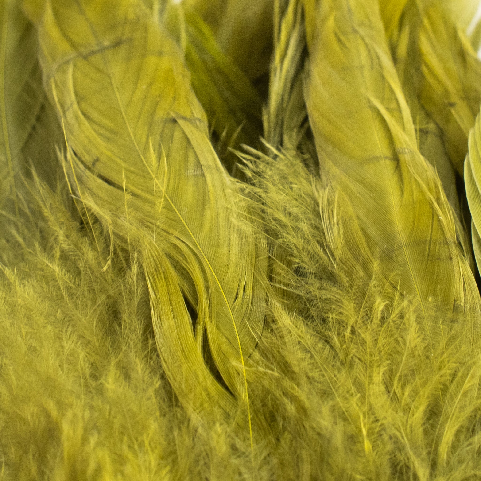 Nature's Spirit Fish Hunter Select Schlappen