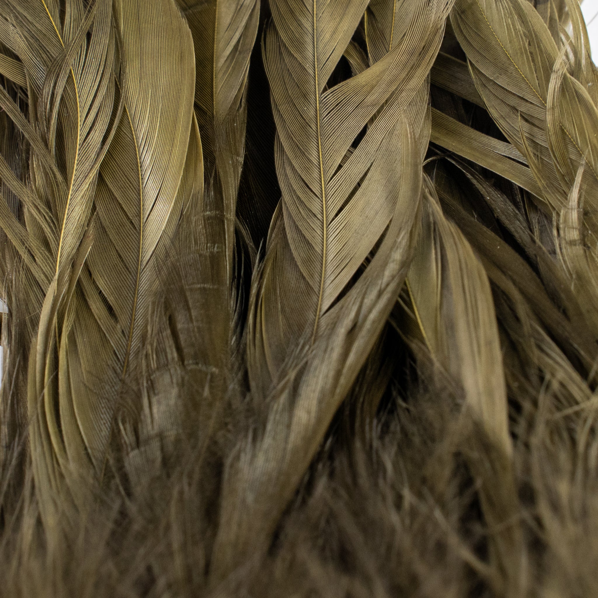 Nature's Spirit Fish Hunter Select Schlappen