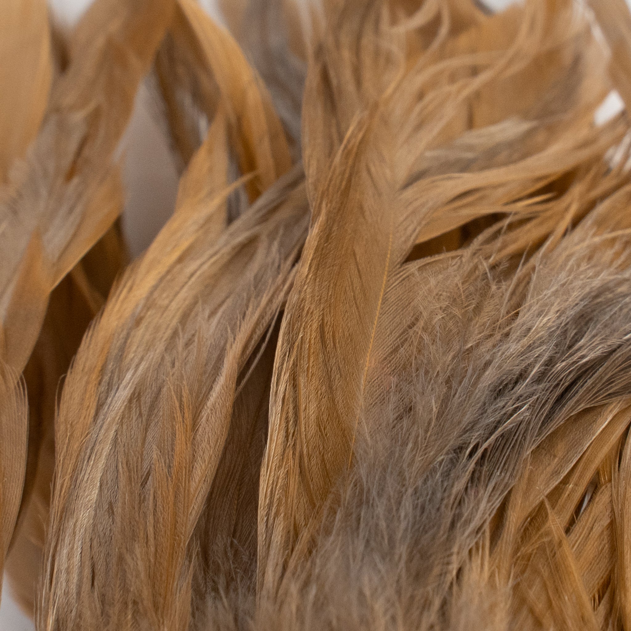 Nature's Spirit Fish Hunter Select Schlappen