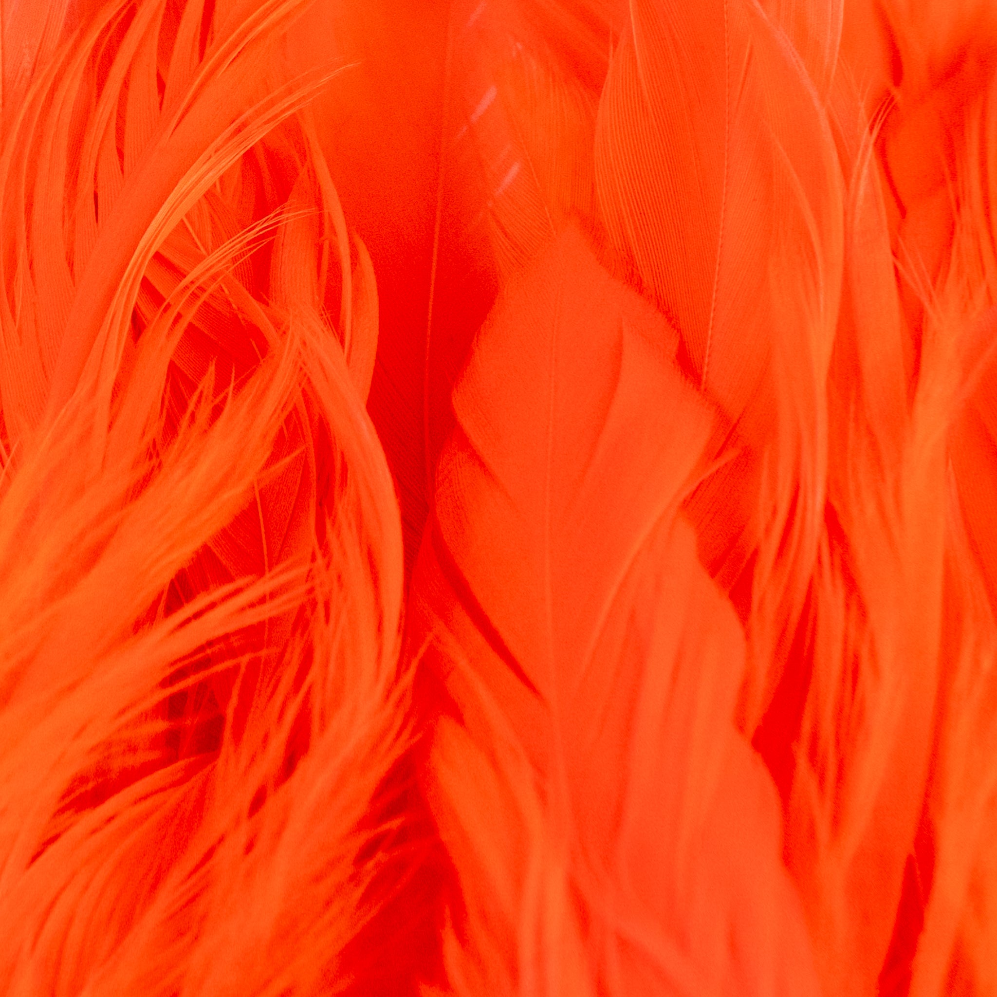 Nature's Spirit Fish Hunter Select Schlappen