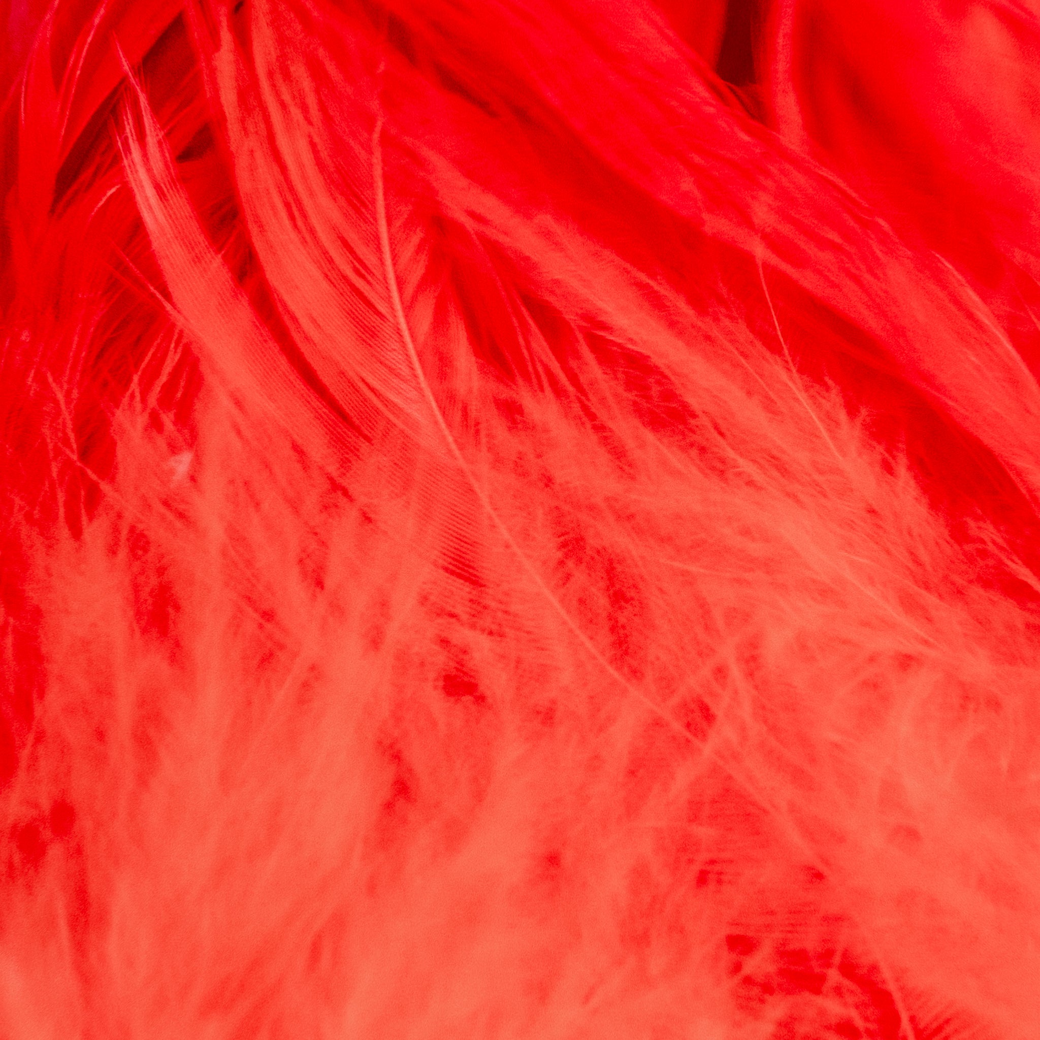 Nature's Spirit Fish Hunter Select Schlappen