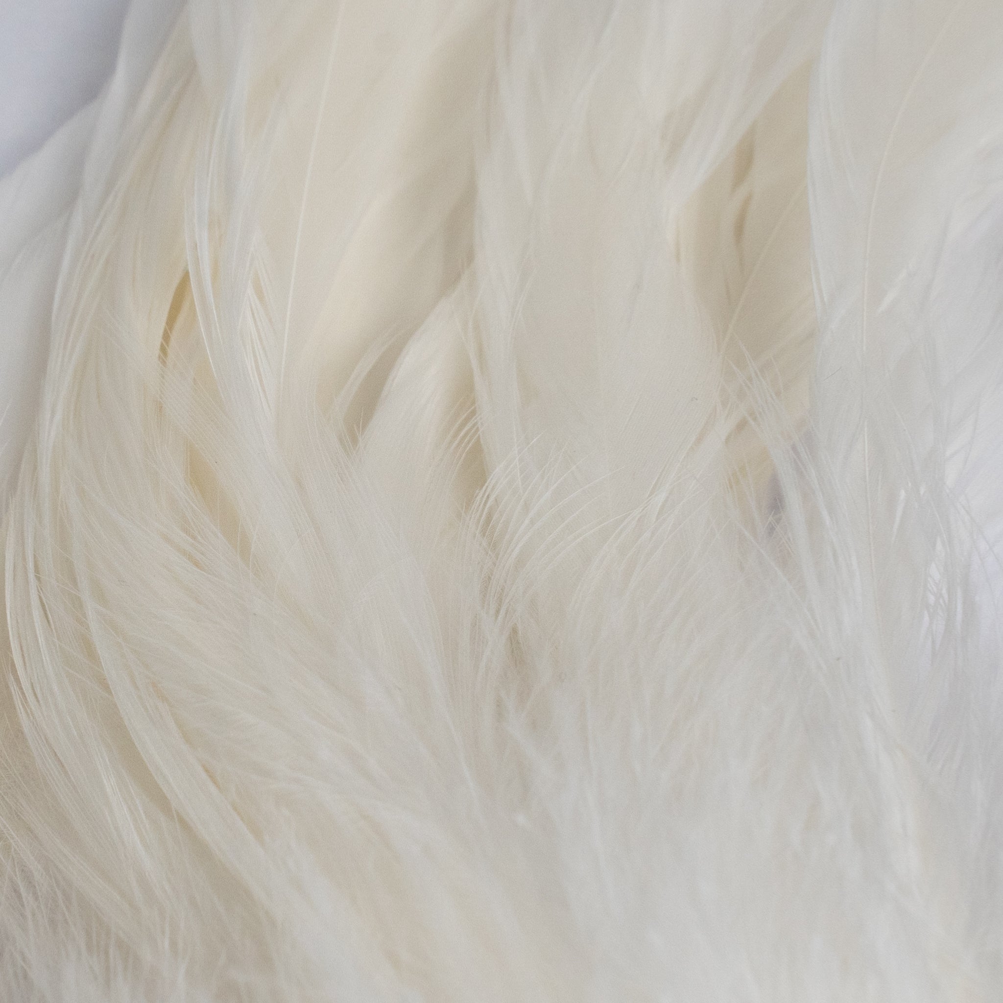 Nature's Spirit Fish Hunter Select Schlappen