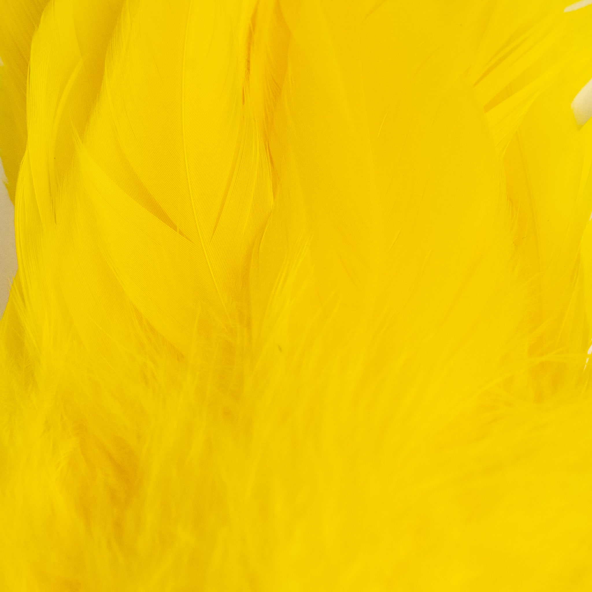 Nature's Spirit Fish Hunter Select Schlappen