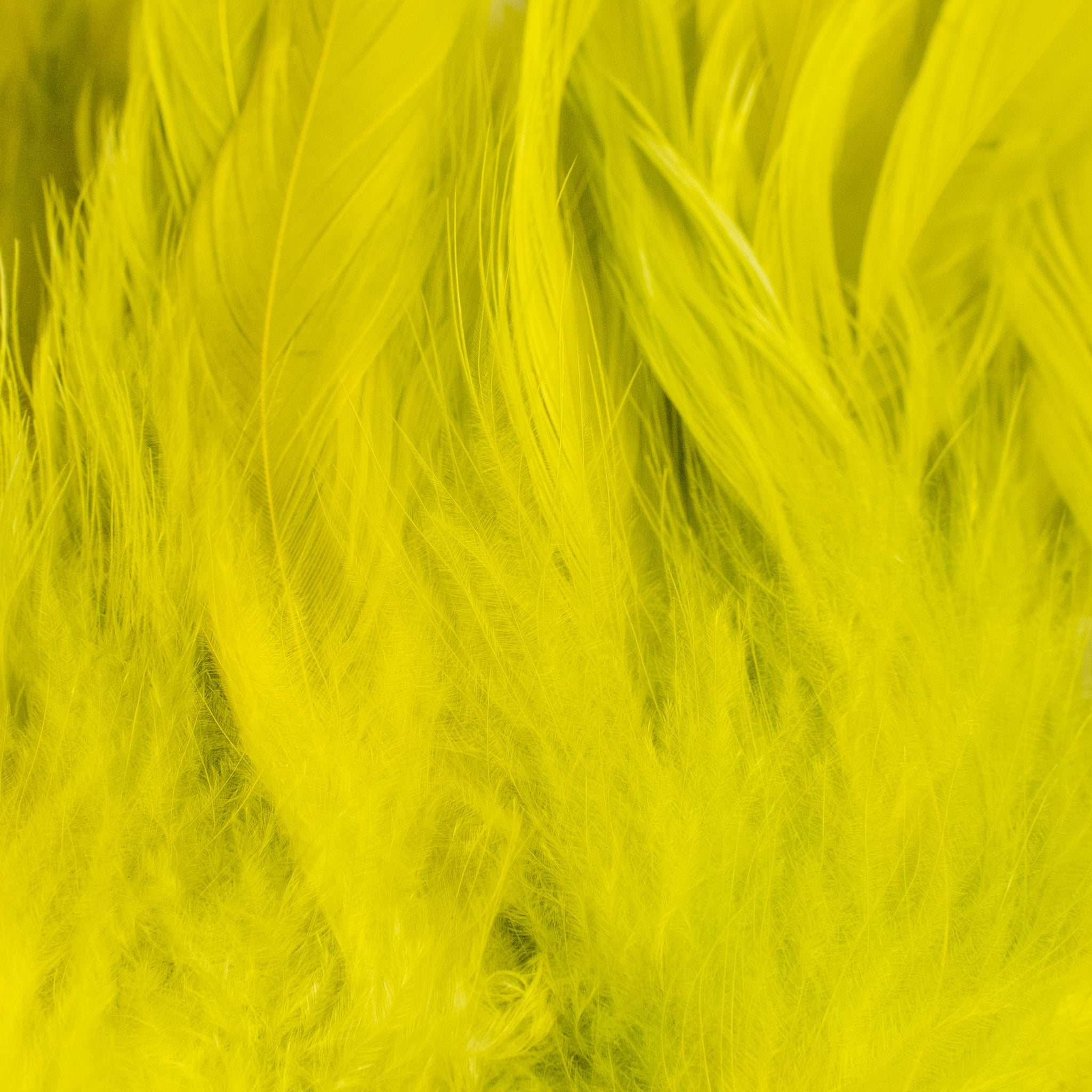 Nature's Spirit Fish Hunter Select Schlappen