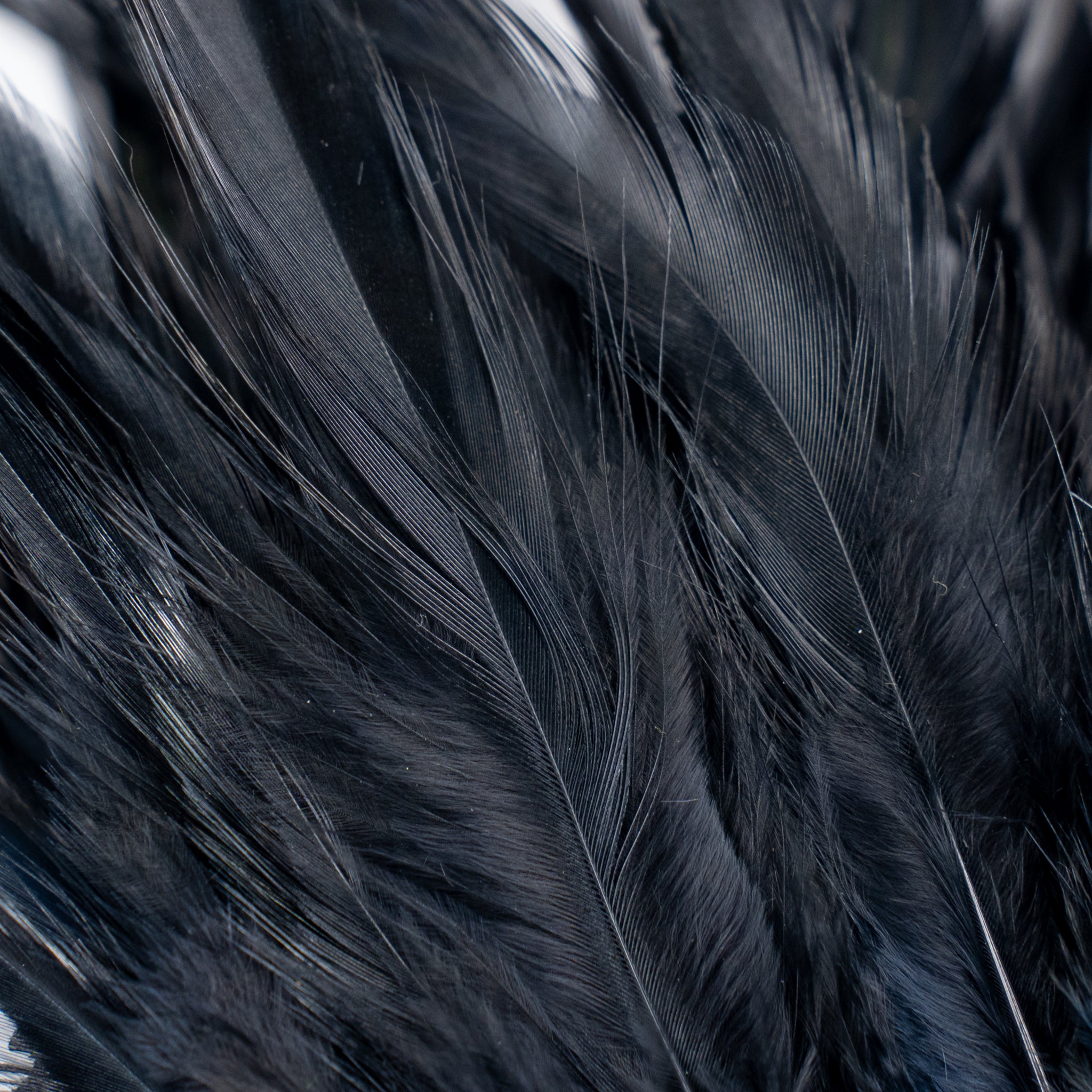 Nature's Spirit Fish Hunter Select Saddle Hackle