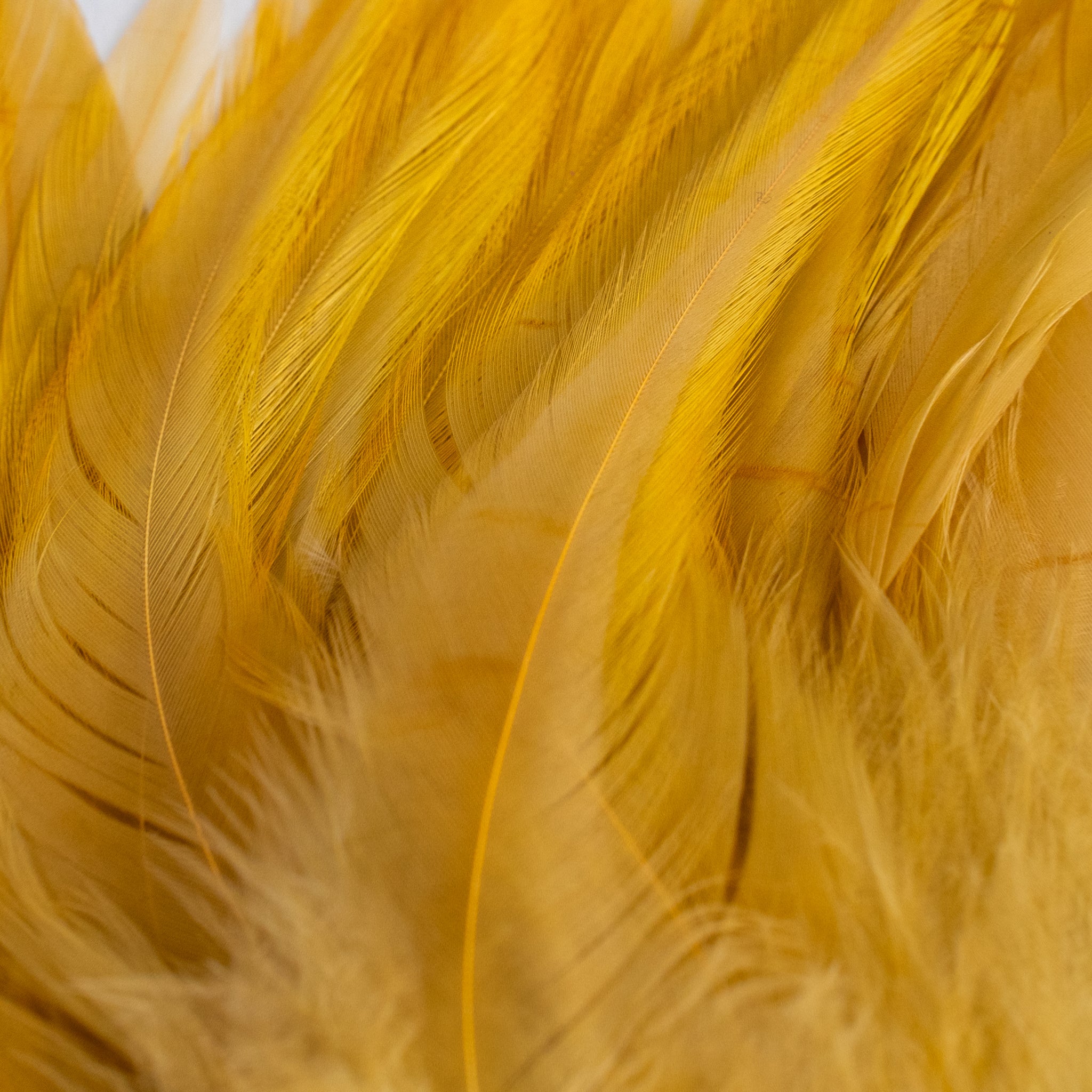 Nature's Spirit Fish Hunter Select Saddle Hackle