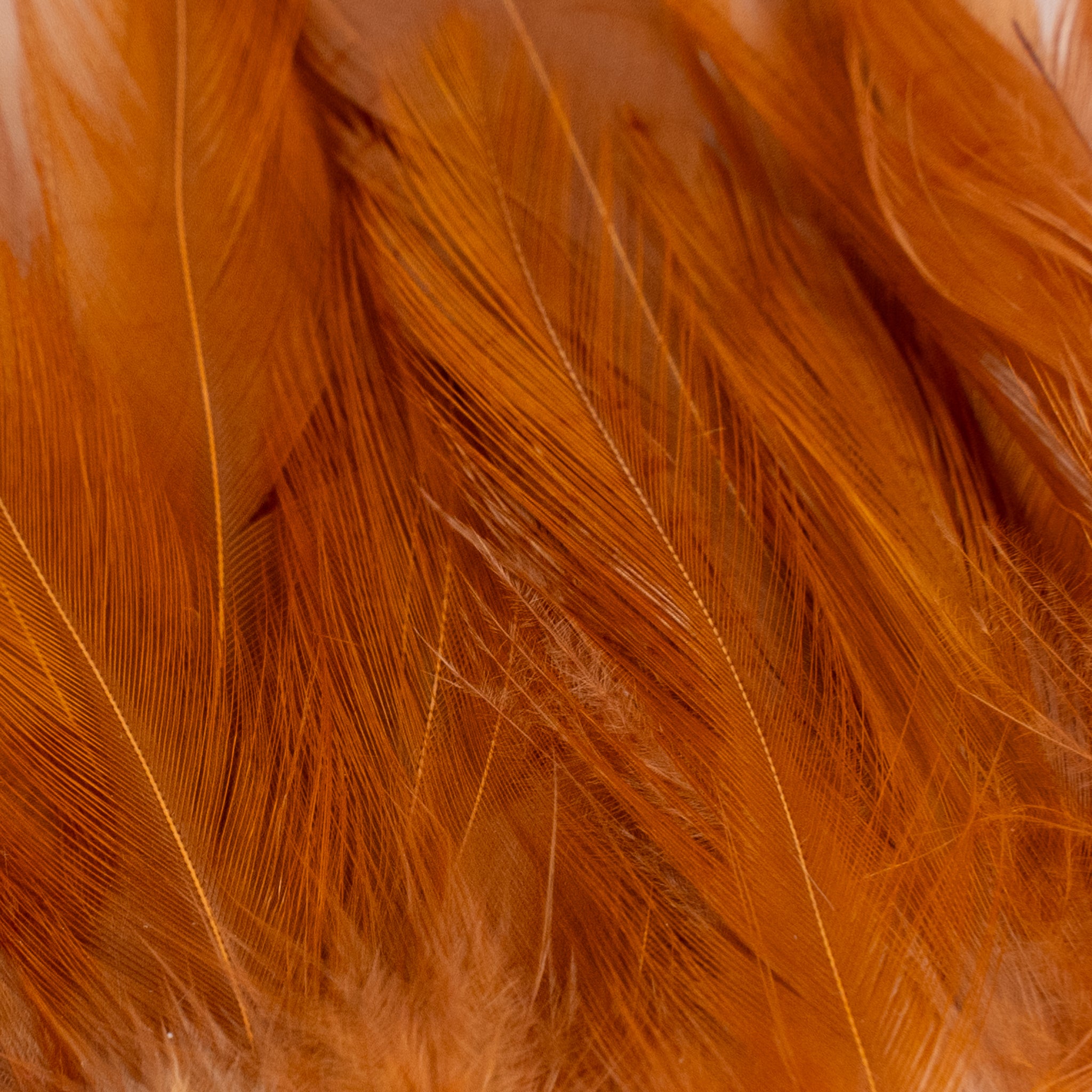 Nature's Spirit Fish Hunter Select Saddle Hackle