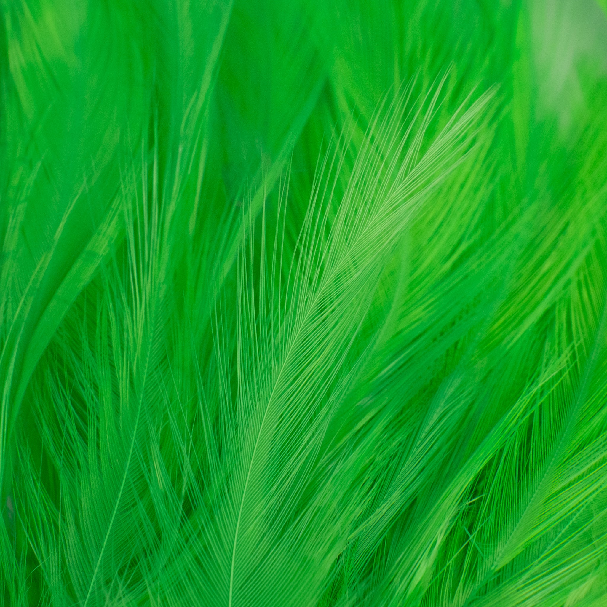 Nature's Spirit Fish Hunter Select Saddle Hackle