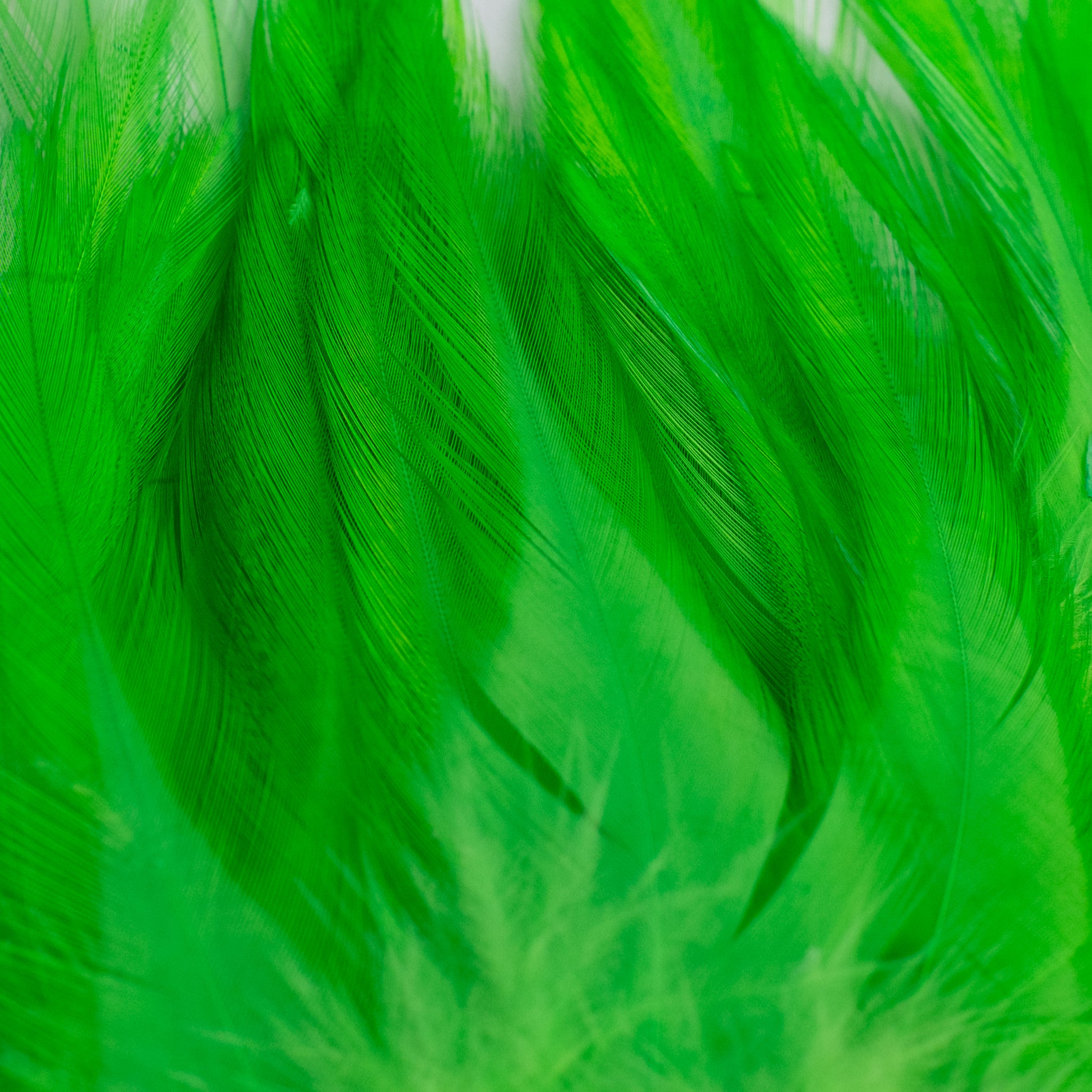 Nature's Spirit Fish Hunter Select Saddle Hackle