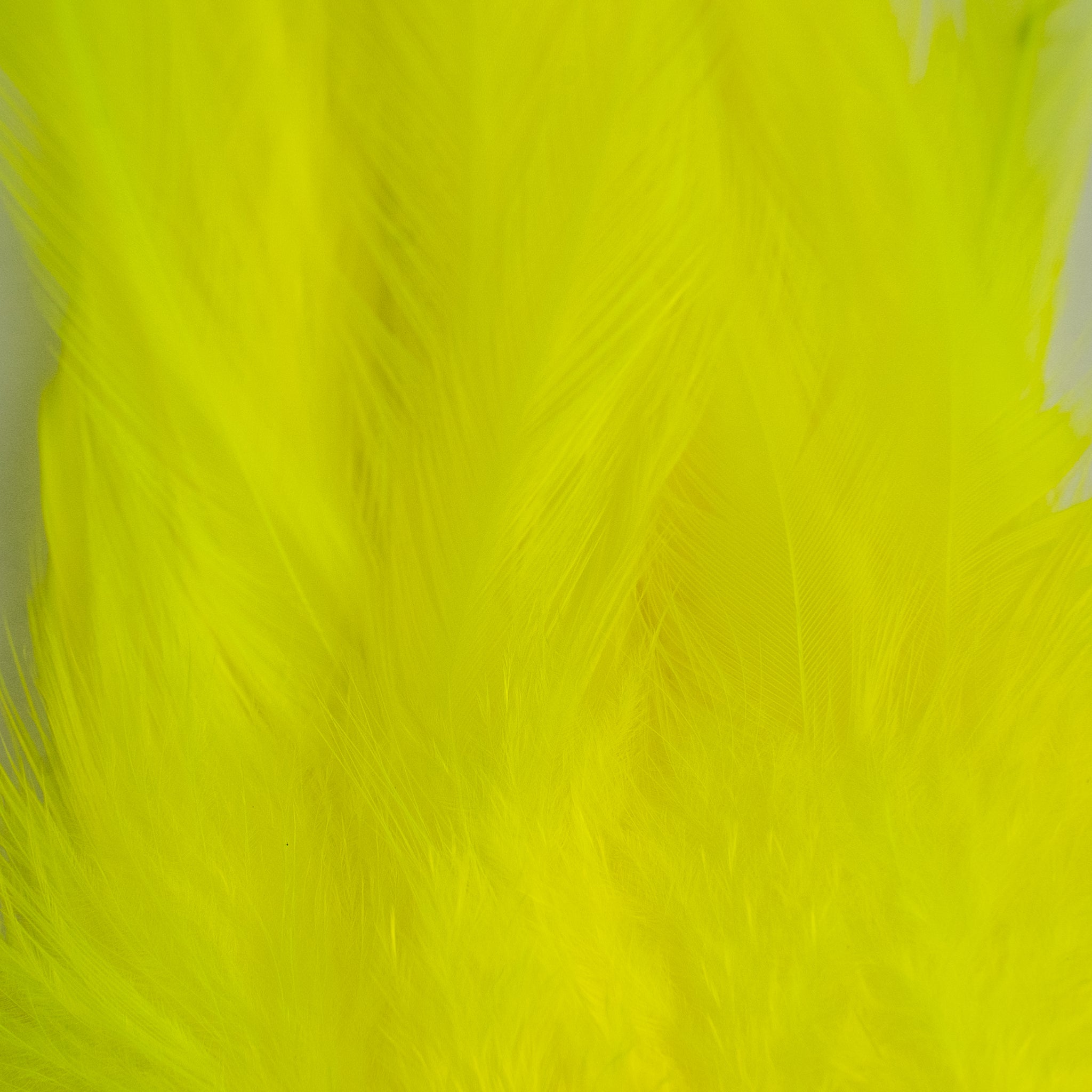 Nature's Spirit Fish Hunter Select Saddle Hackle