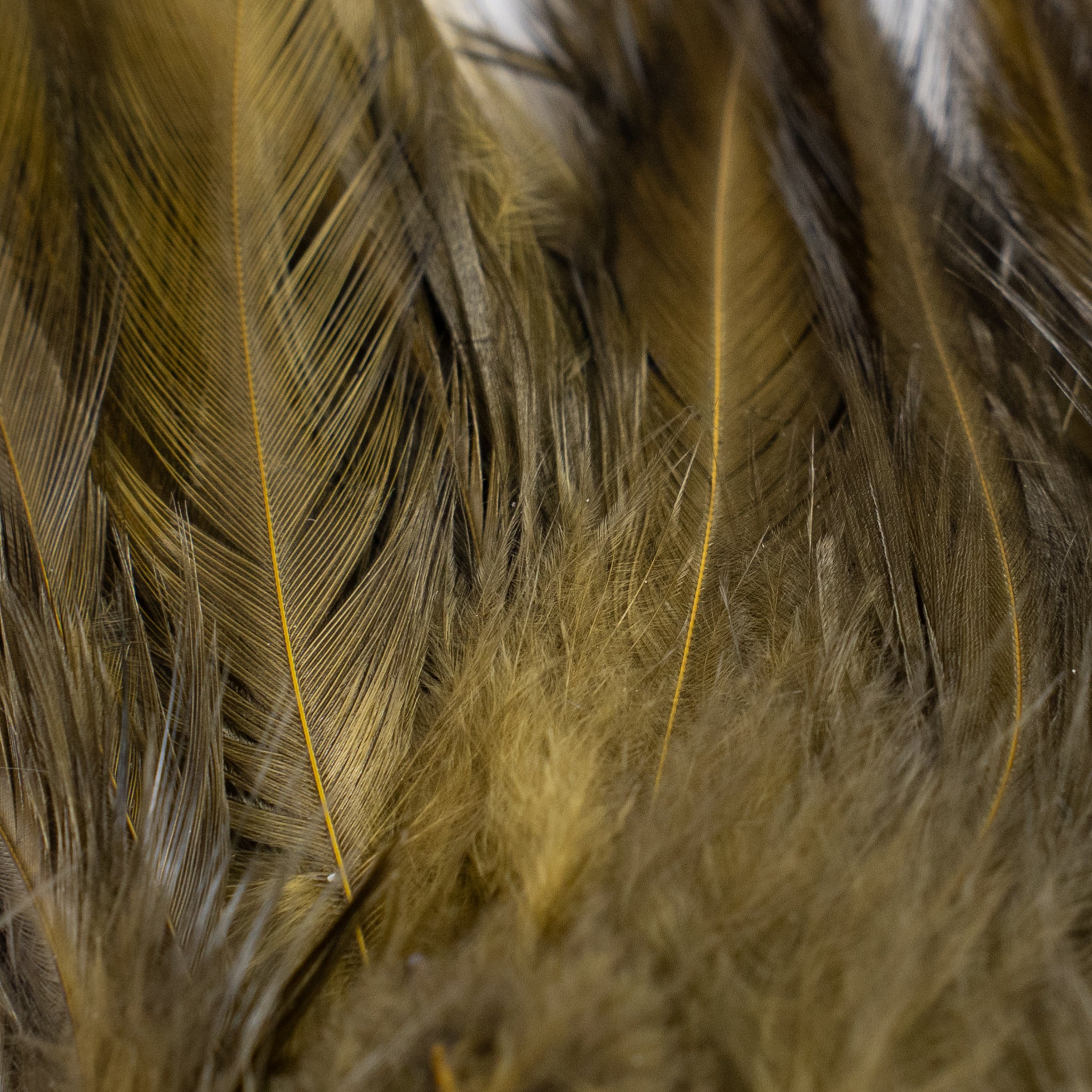 Nature's Spirit Fish Hunter Select Saddle Hackle