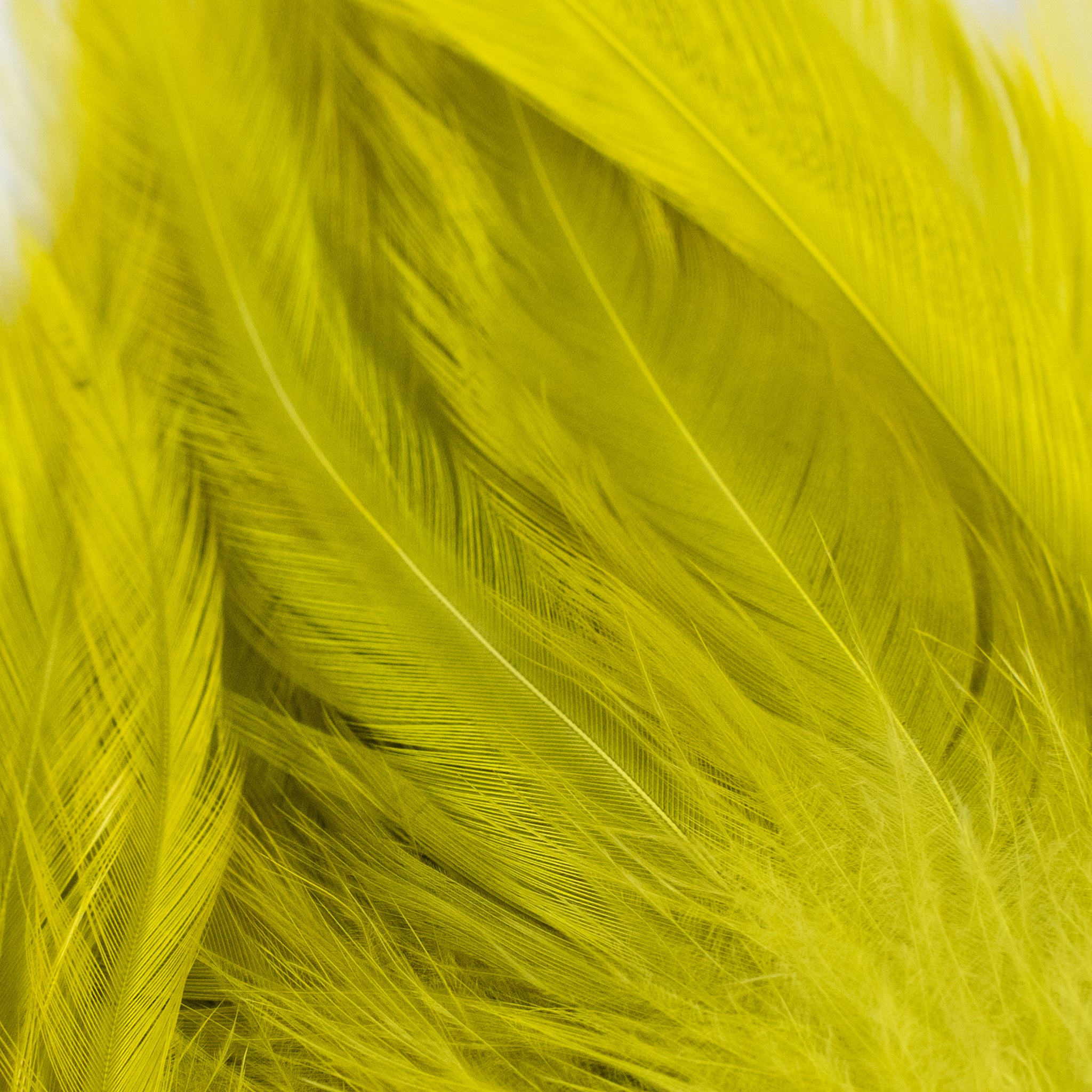 Nature's Spirit Fish Hunter Select Saddle Hackle