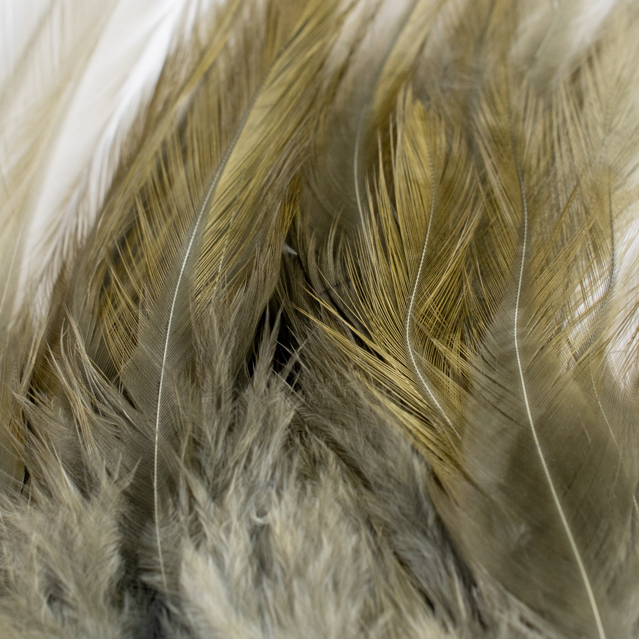 Nature's Spirit Fish Hunter Select Saddle Hackle