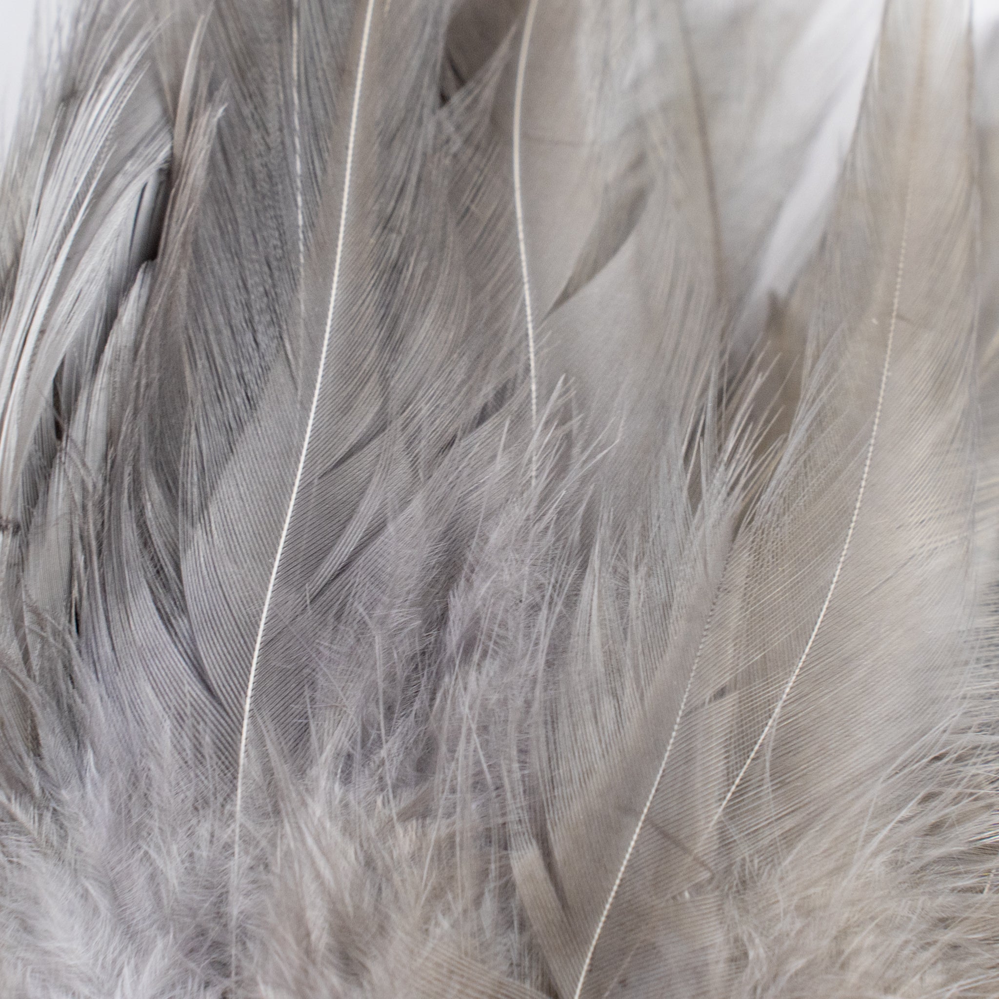 Nature's Spirit Fish Hunter Select Saddle Hackle