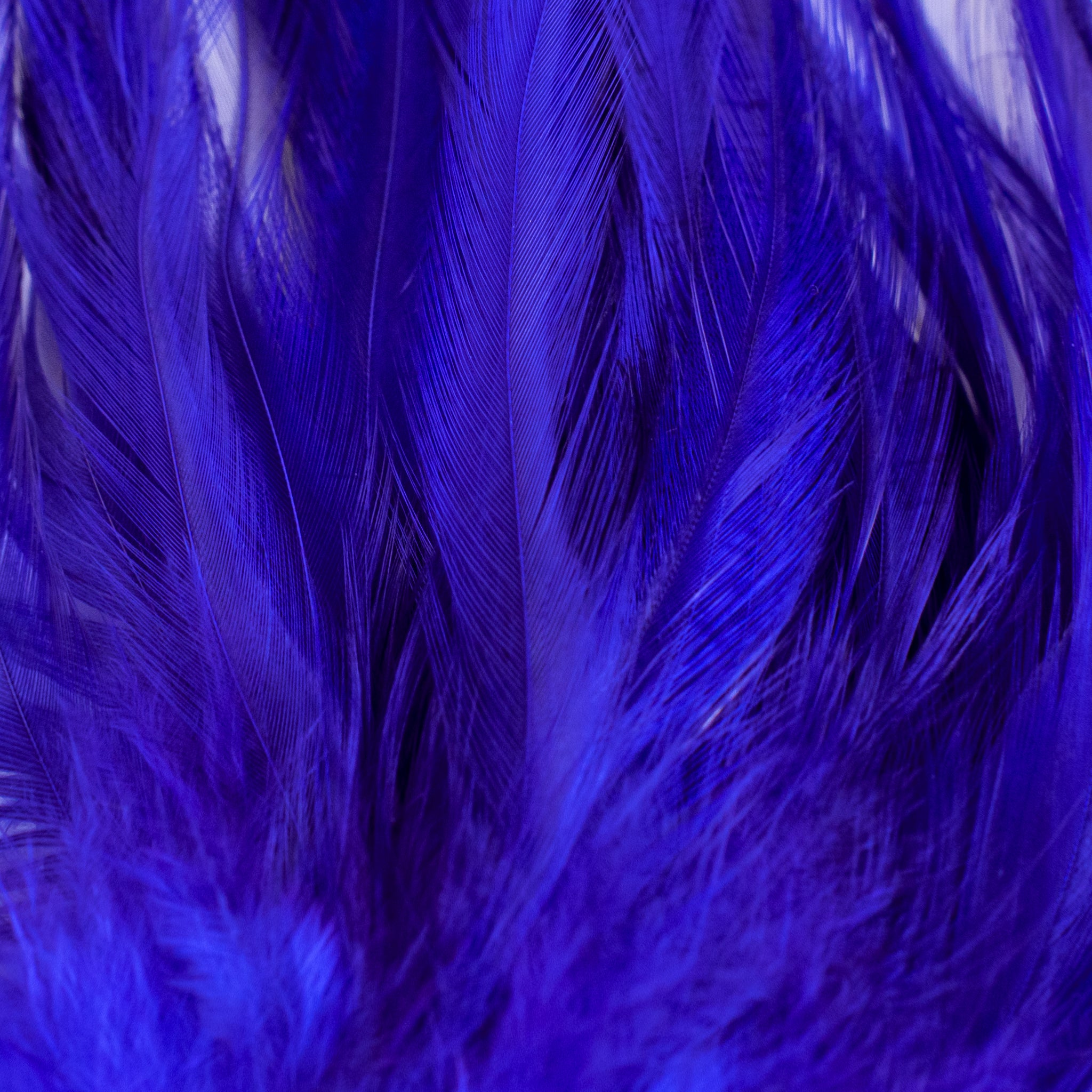 Nature's Spirit Fish Hunter Select Saddle Hackle