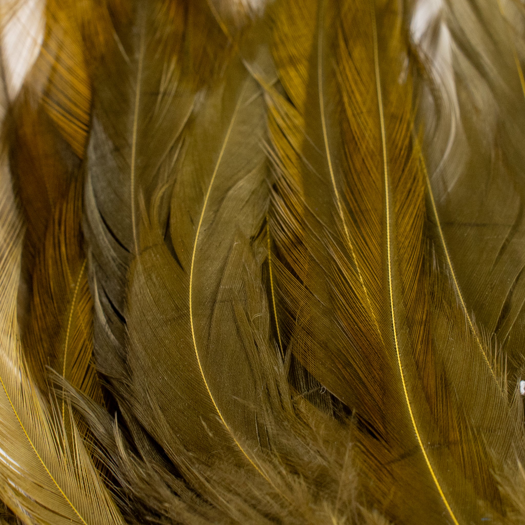 Nature's Spirit Fish Hunter Select Saddle Hackle