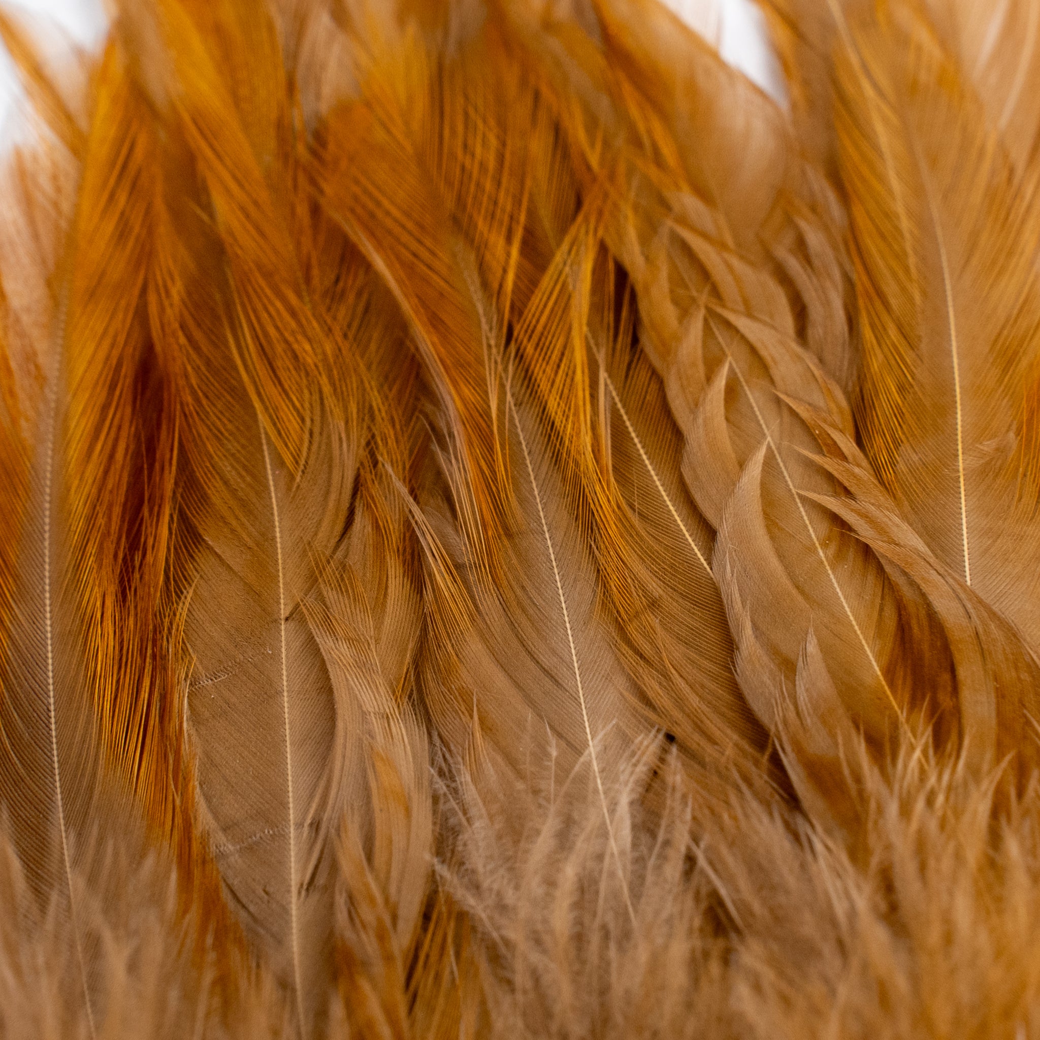 Nature's Spirit Fish Hunter Select Saddle Hackle