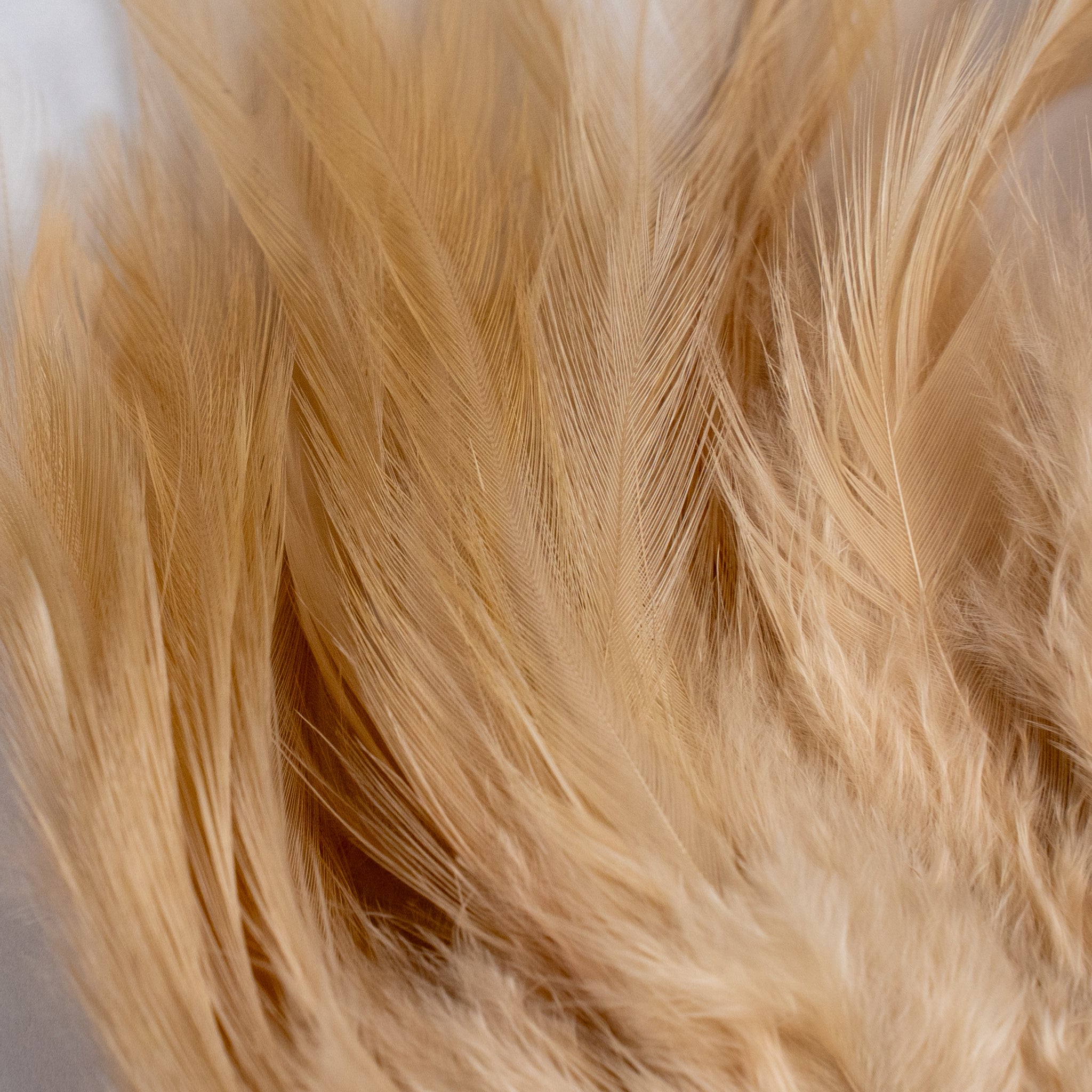 Nature's Spirit Fish Hunter Select Saddle Hackle