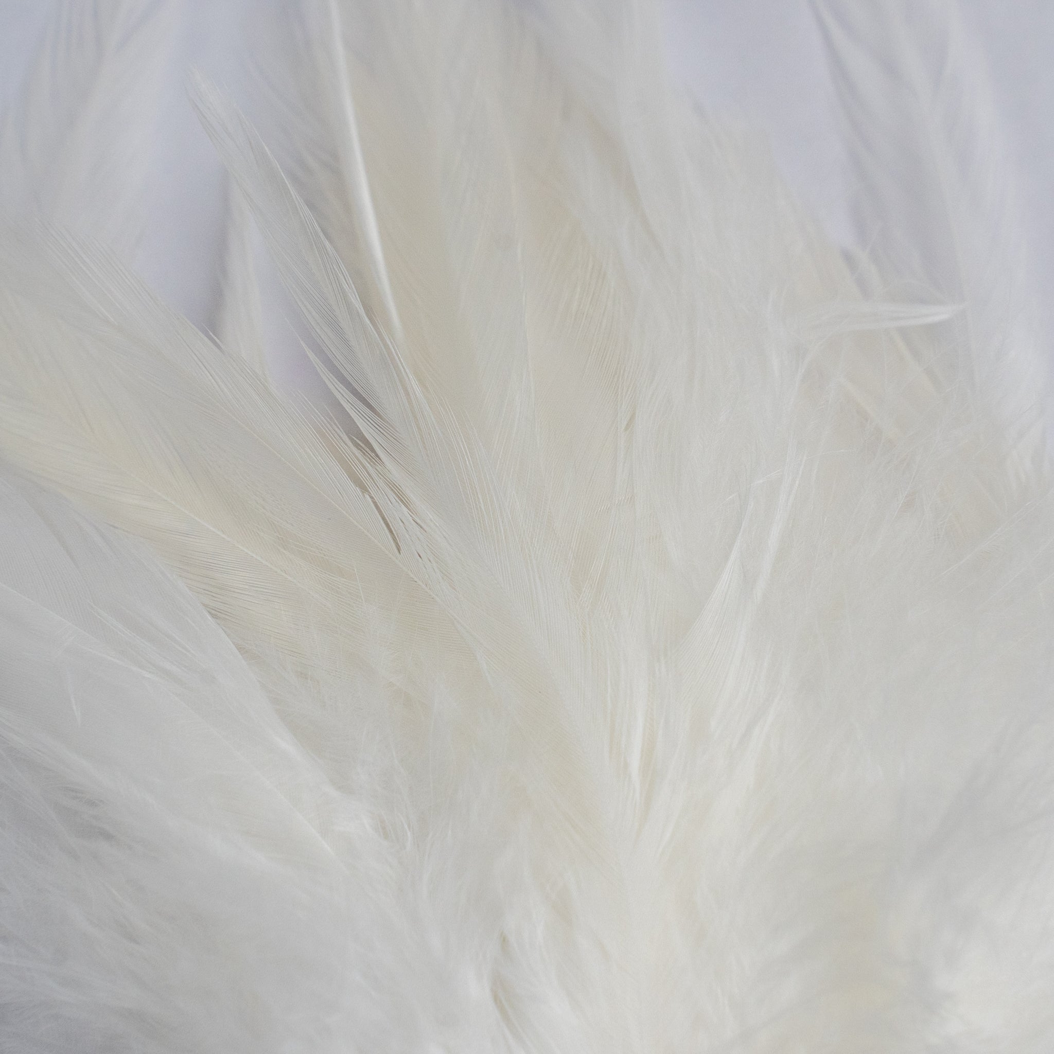 Nature's Spirit Fish Hunter Select Saddle Hackle