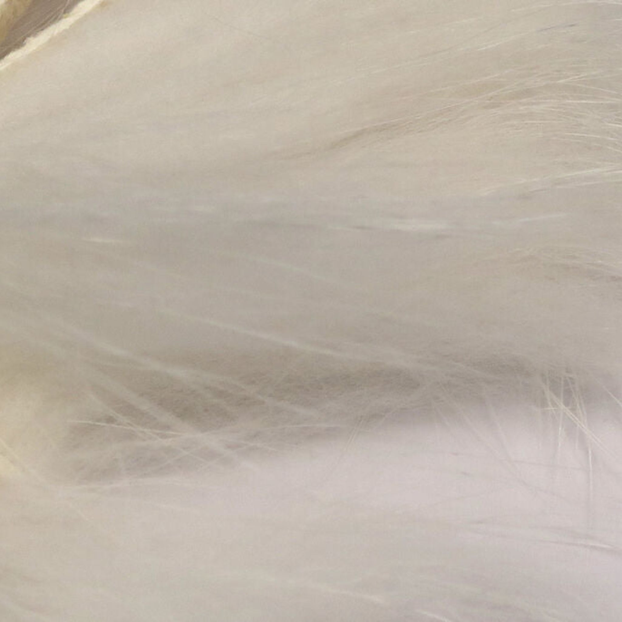 Hareline Finn Raccoon Zonkers