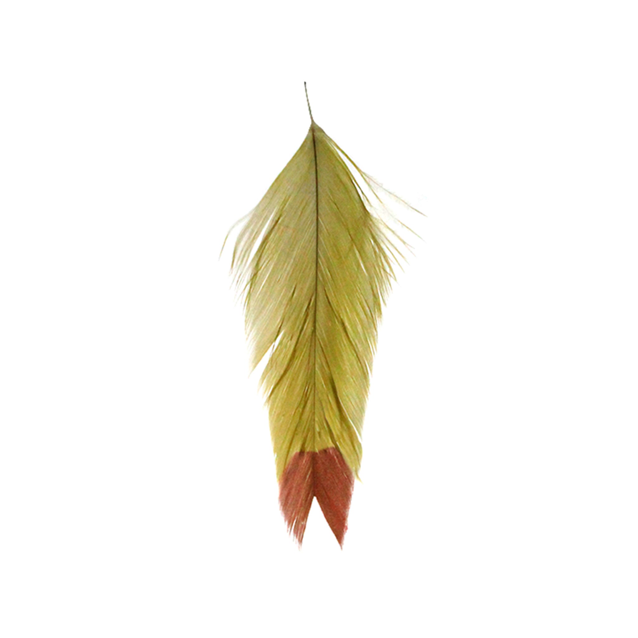 MFC Galloup's Fin Tip Fish Feathers