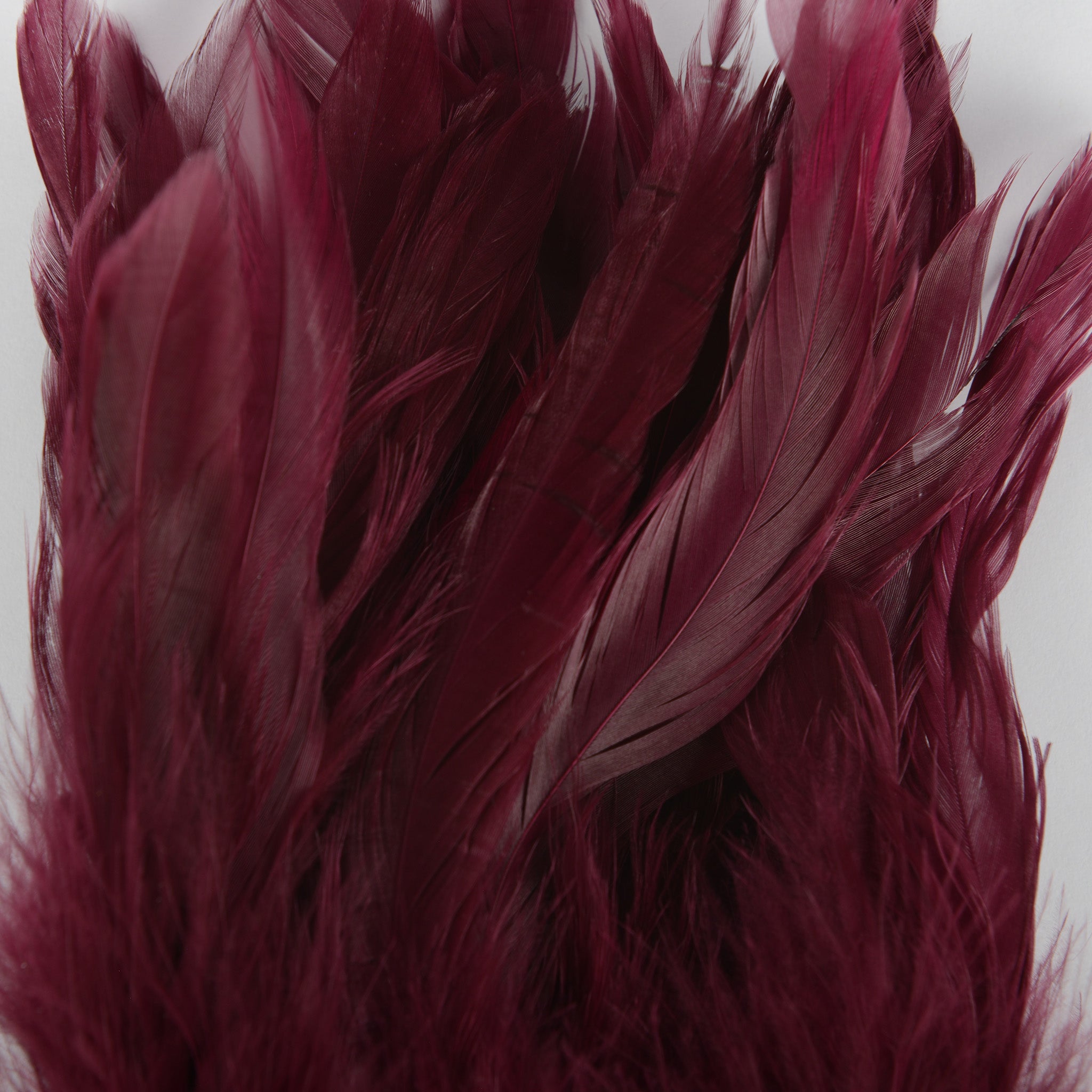 Nature's Spirit Fish Hunter Select Schlappen