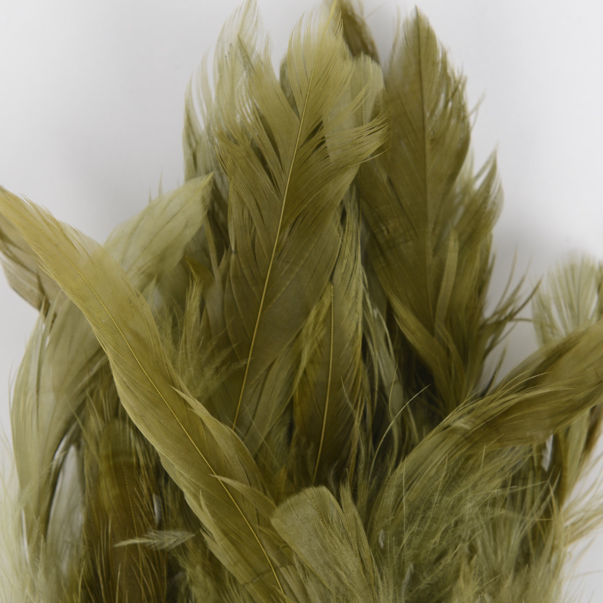 Nature's Spirit Fish Hunter Select Schlappen