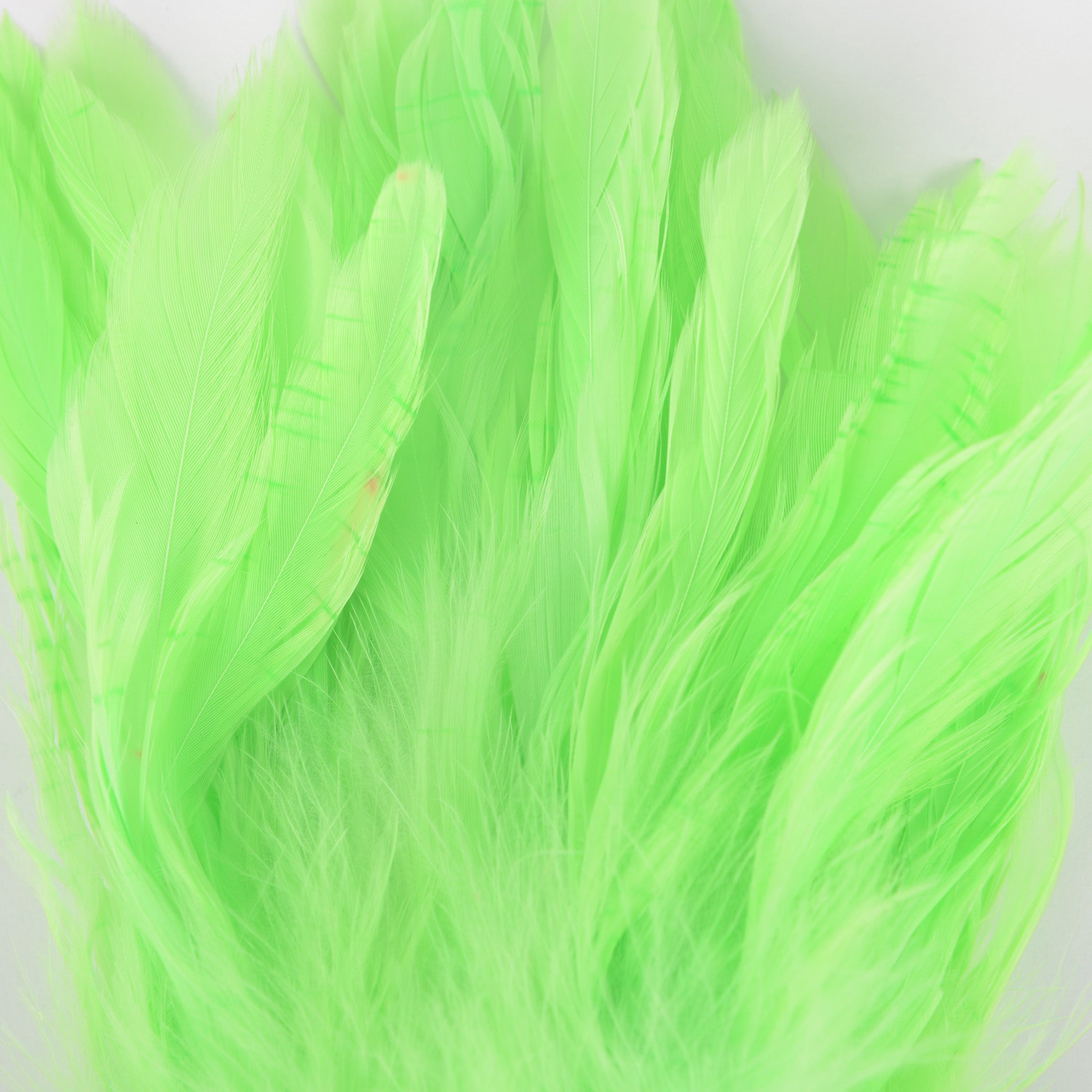 Nature's Spirit Fish Hunter Select Schlappen