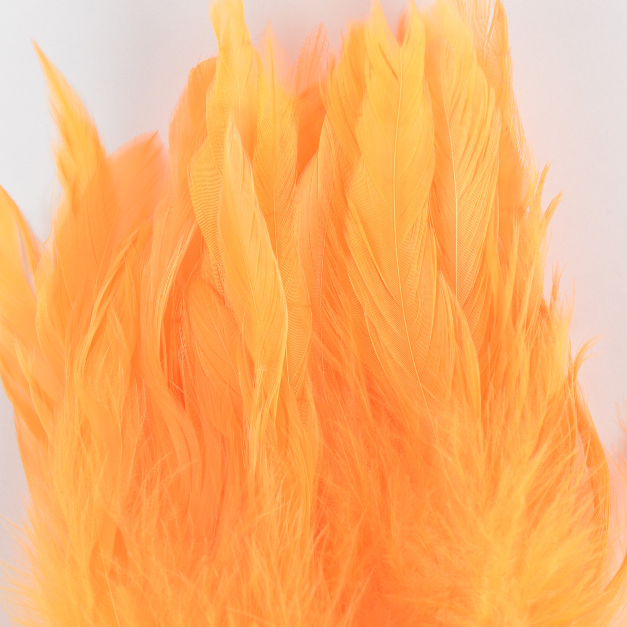 Nature's Spirit Fish Hunter Select Schlappen