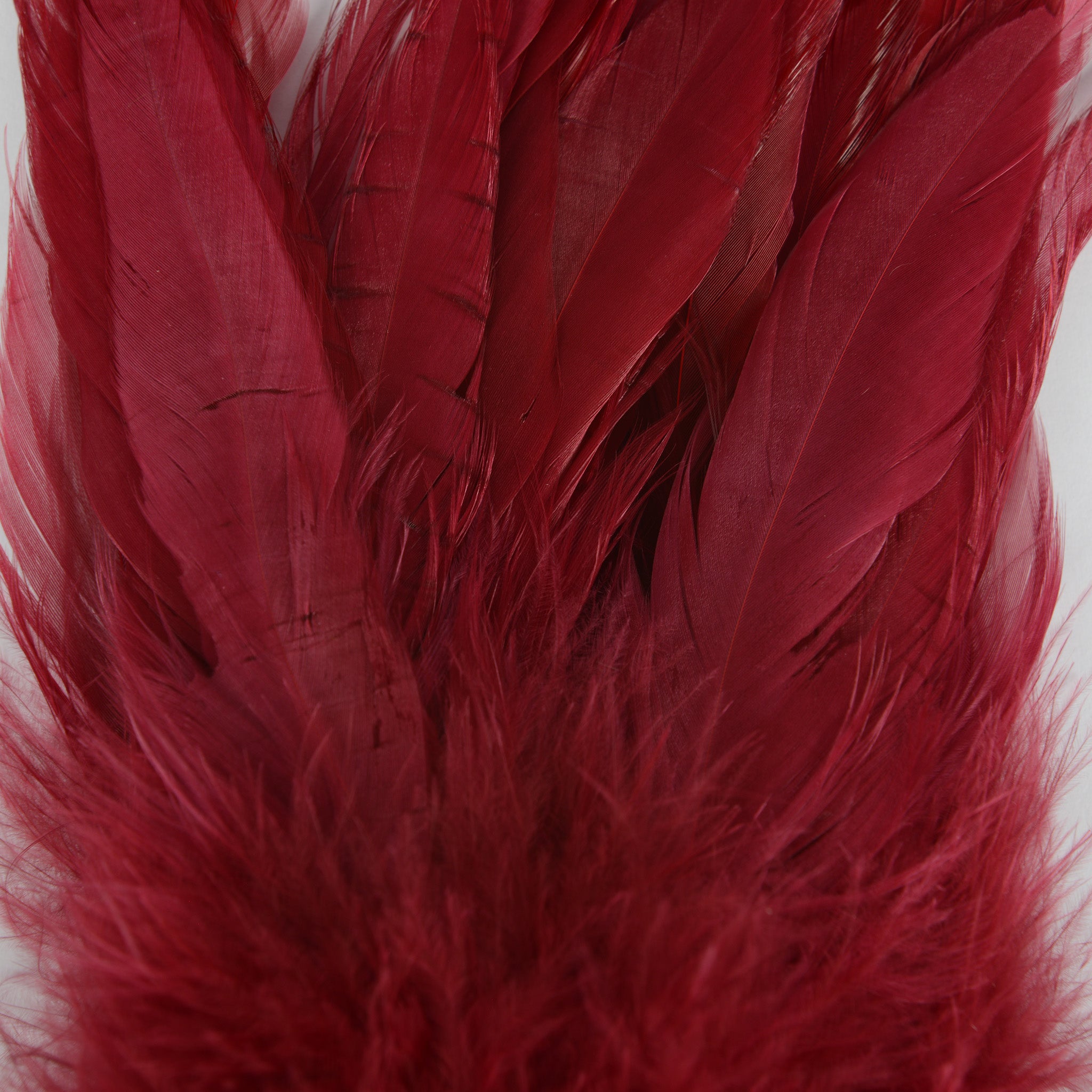 Nature's Spirit Fish Hunter Select Schlappen