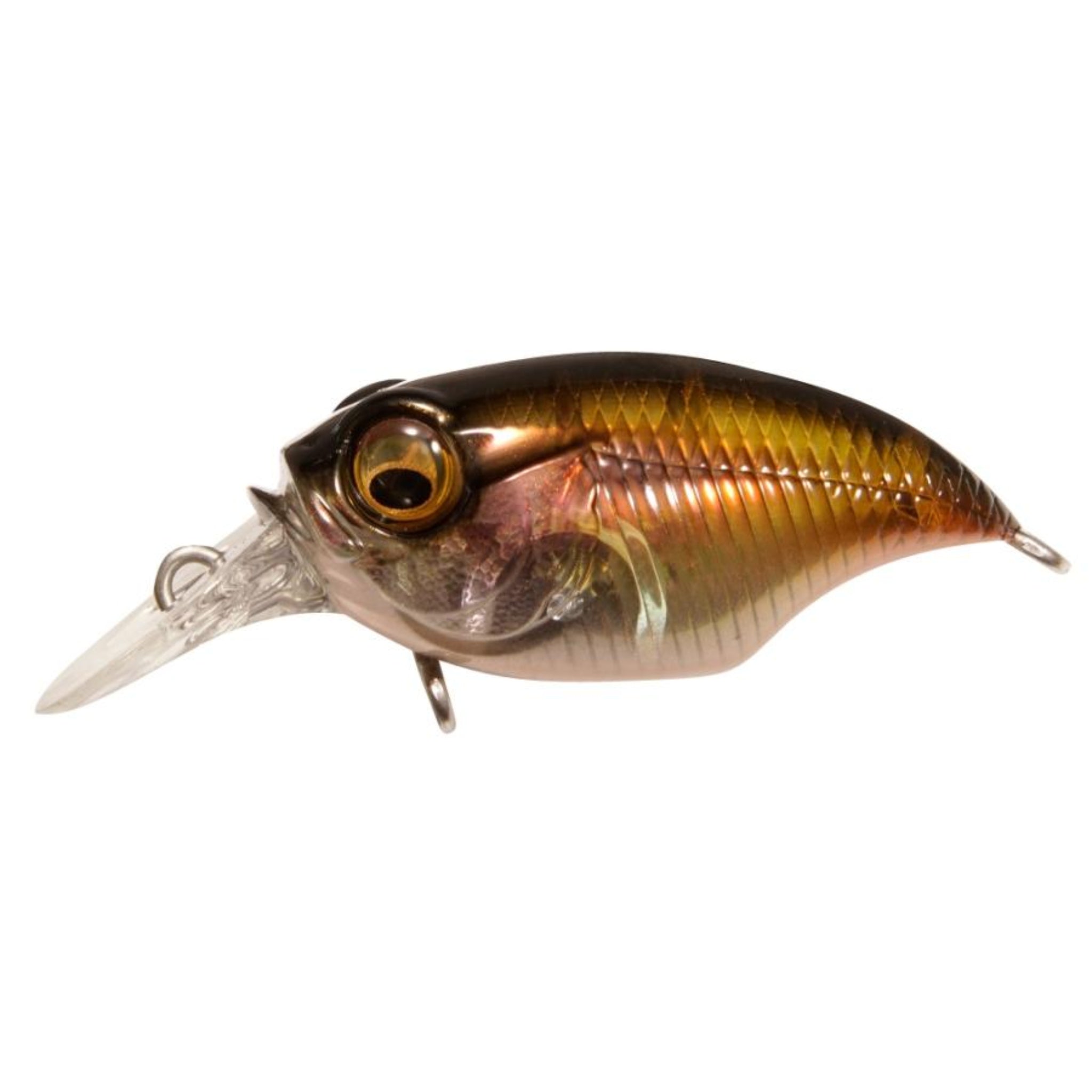 Megabass SR-X Griffon BFS