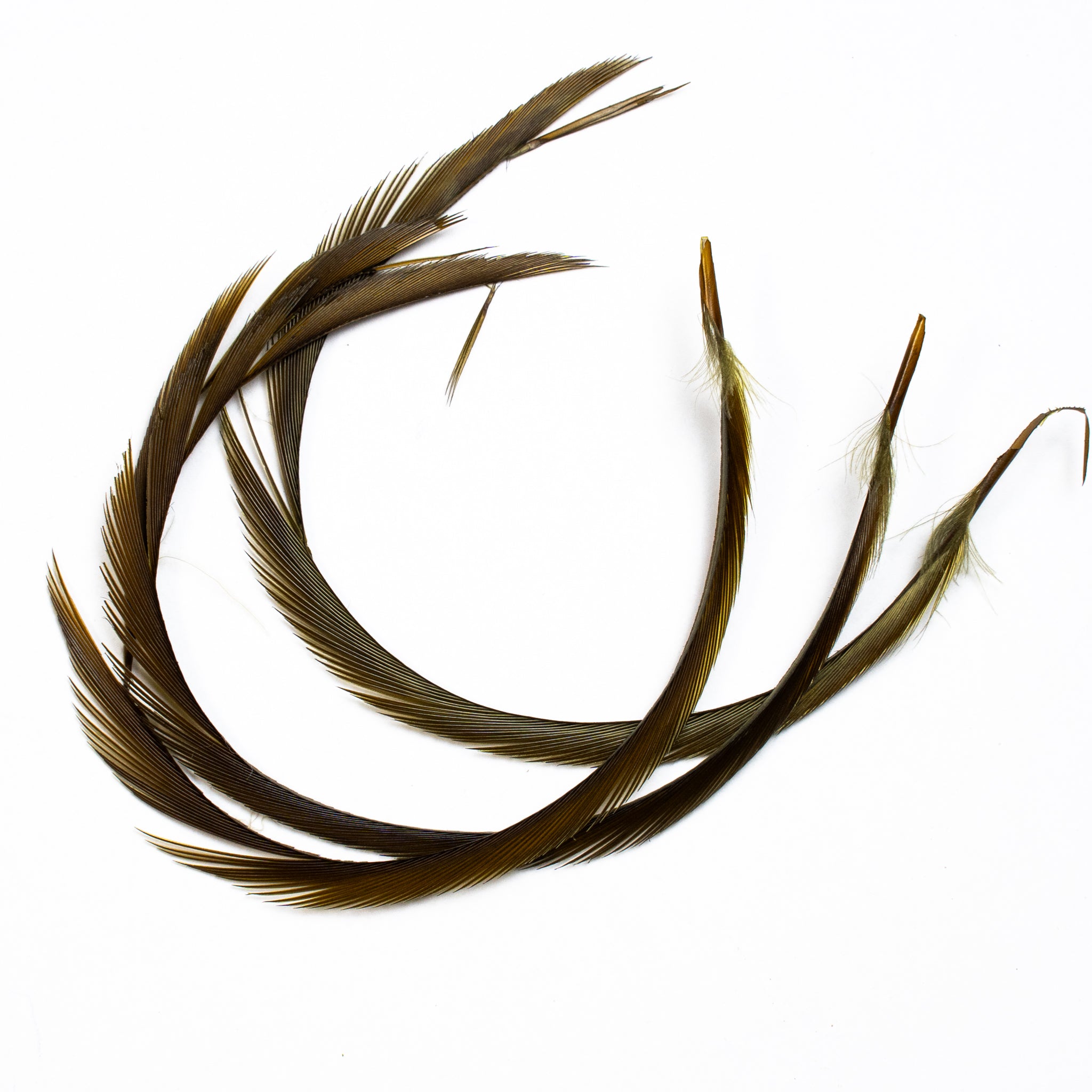 Nature's Spirit Stripped Goose Biots