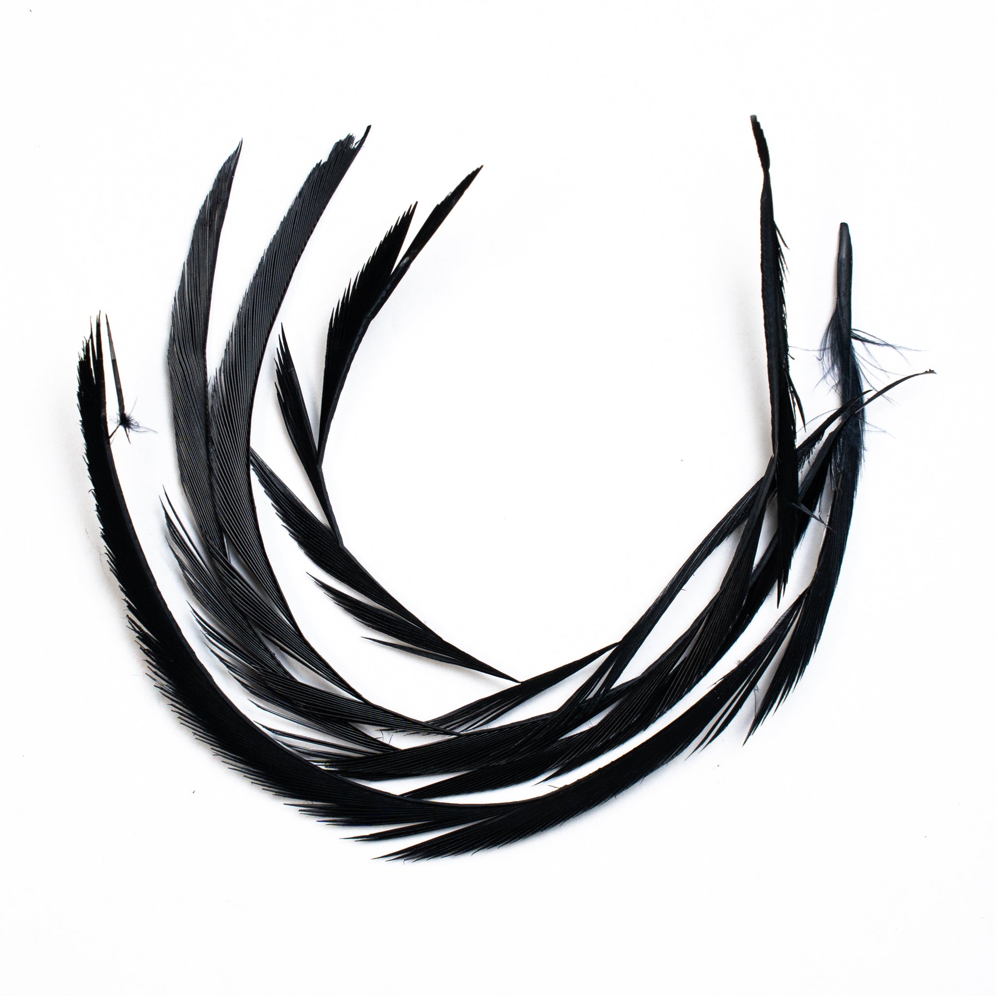 Nature's Spirit Stripped Goose Biots