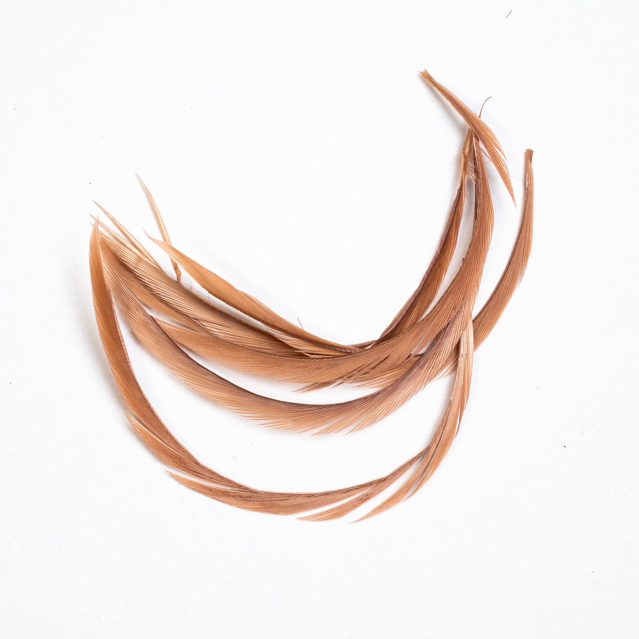Nature's Spirit Stripped Goose Biots