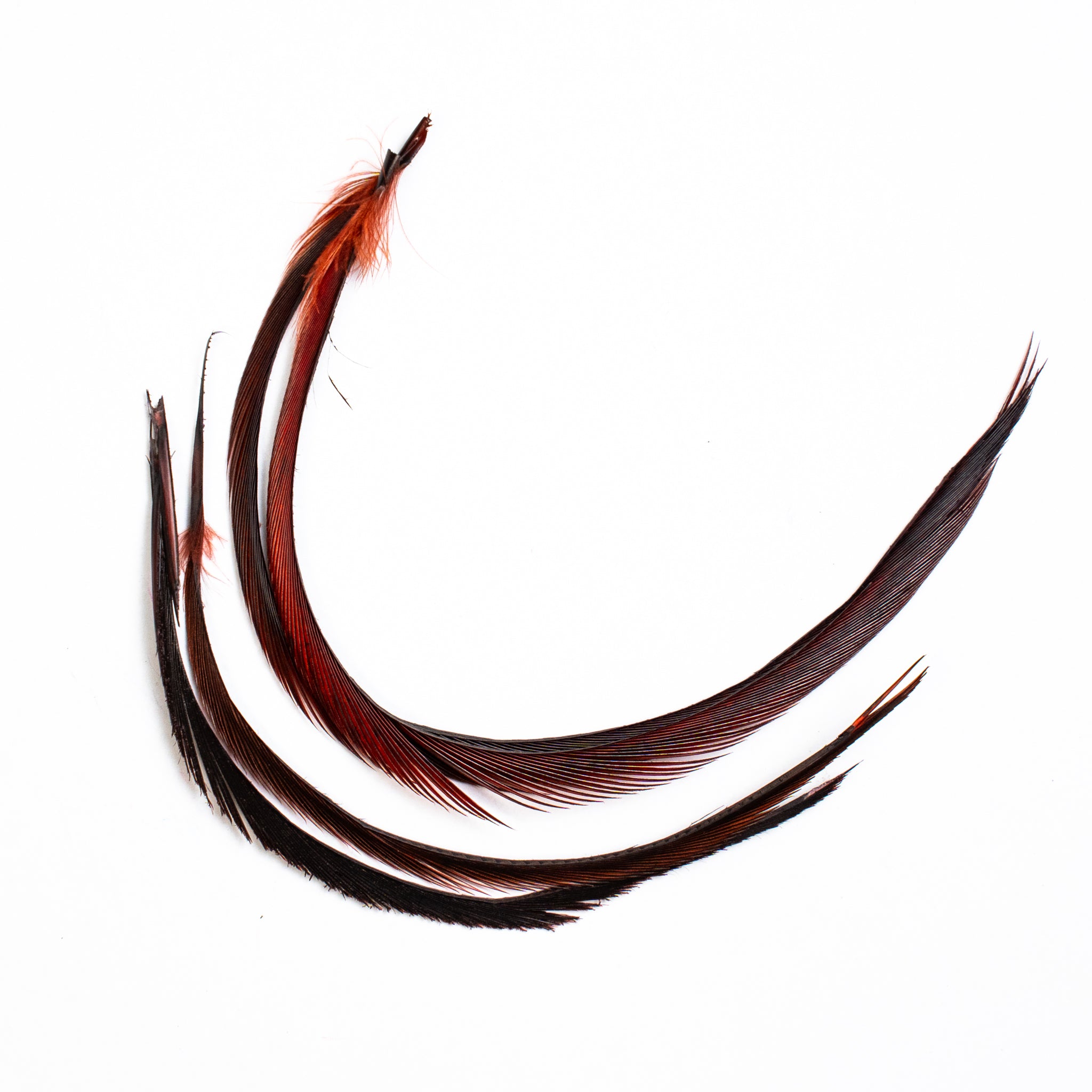 Nature's Spirit Stripped Goose Biots