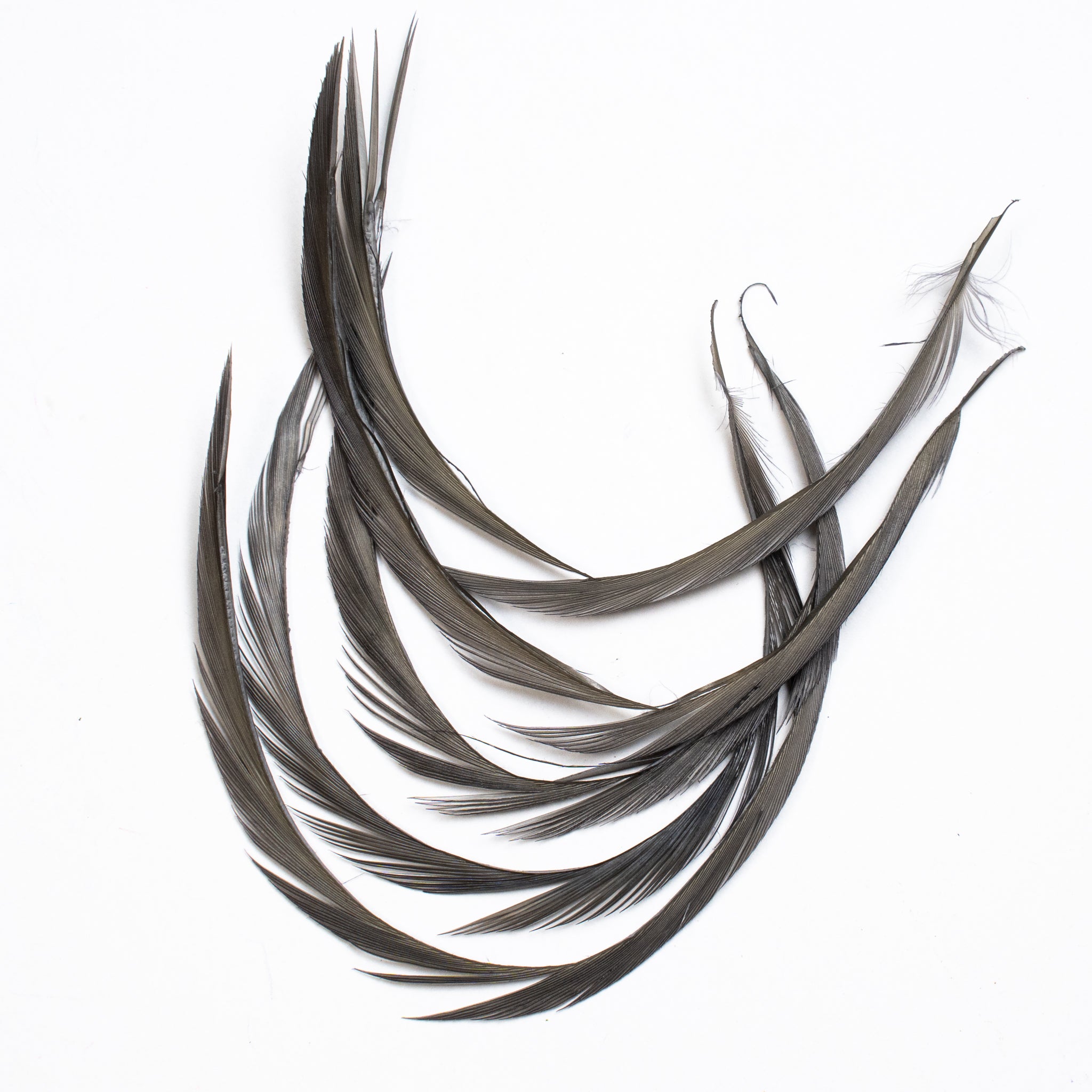 Nature's Spirit Stripped Goose Biots