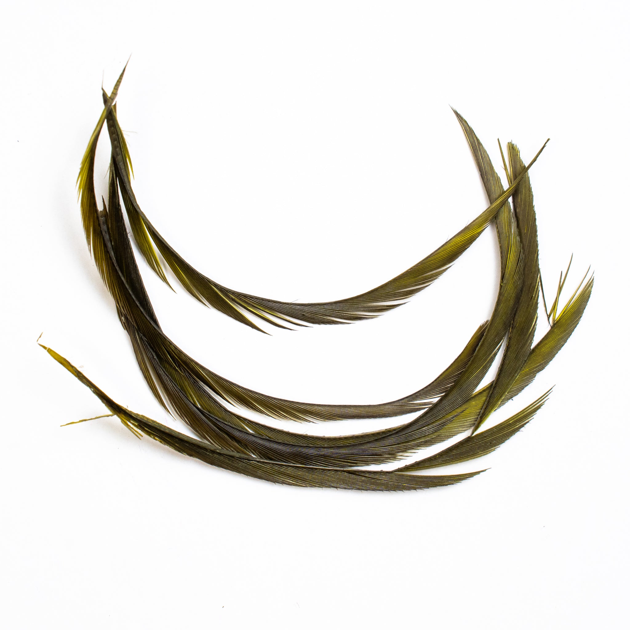 Nature's Spirit Stripped Goose Biots