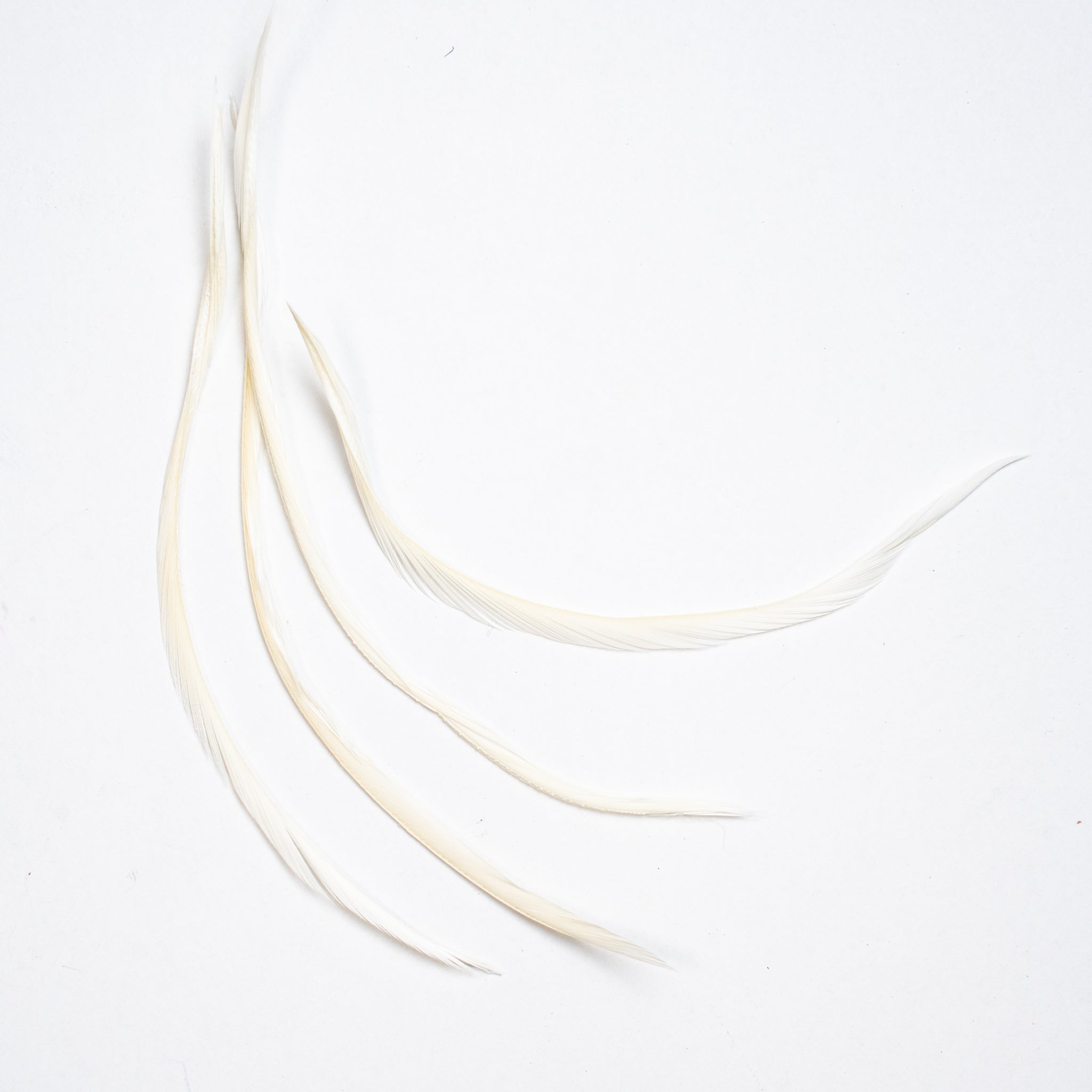 Nature's Spirit Stripped Goose Biots