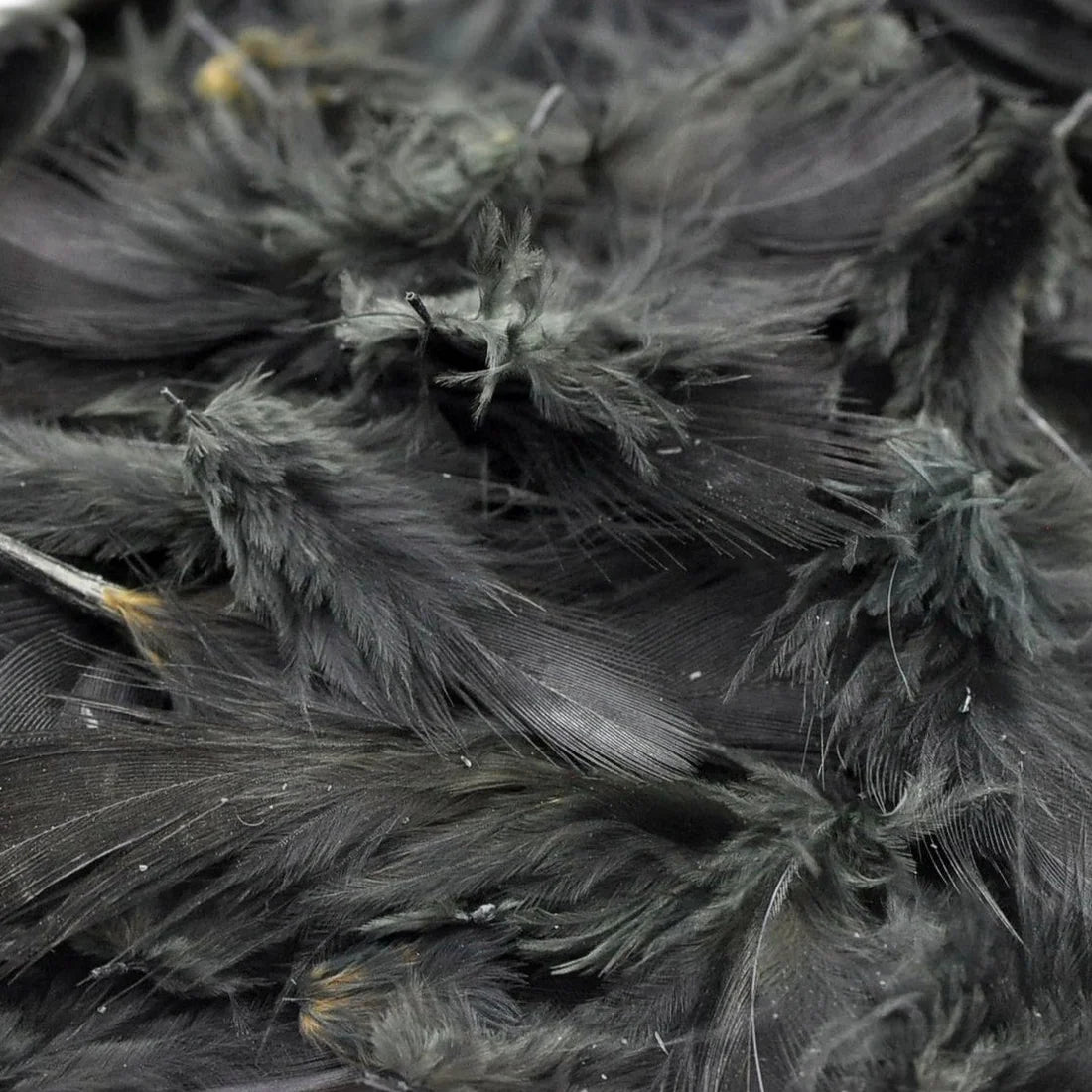 Hareline Premium Hungarian Partridge Feathers