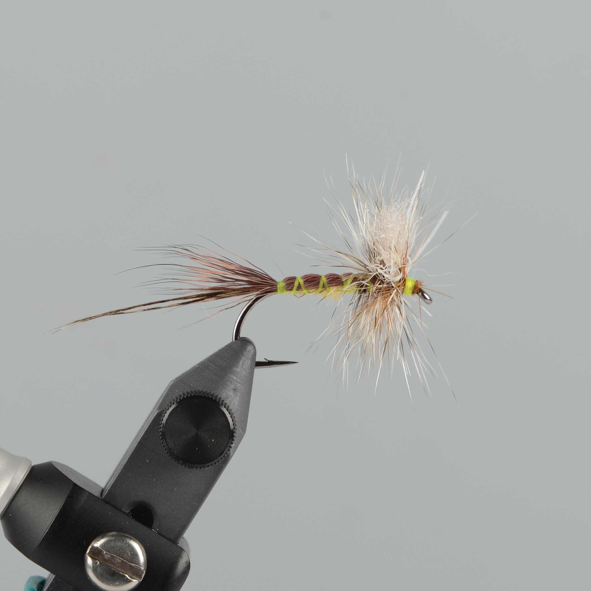 Hex Recurvata Spinner (Locally Tied)