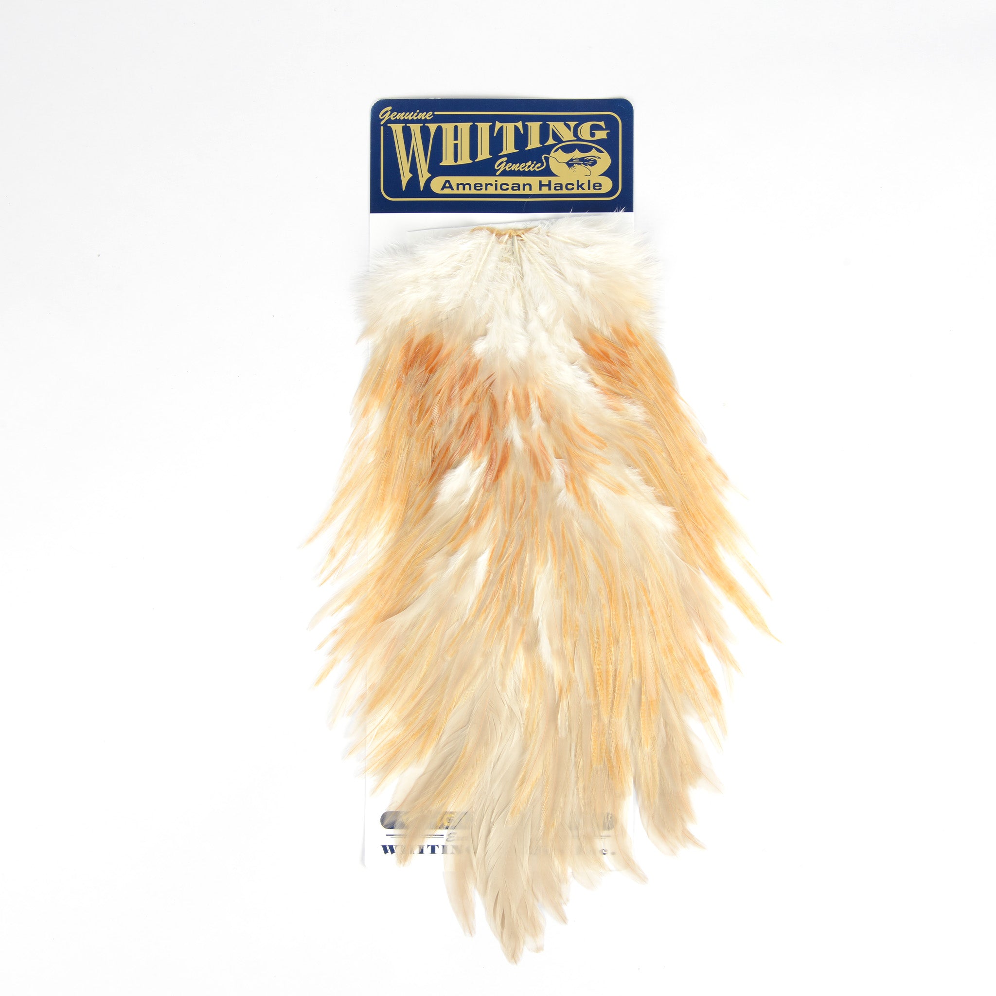 Whiting American Rooster Saddle