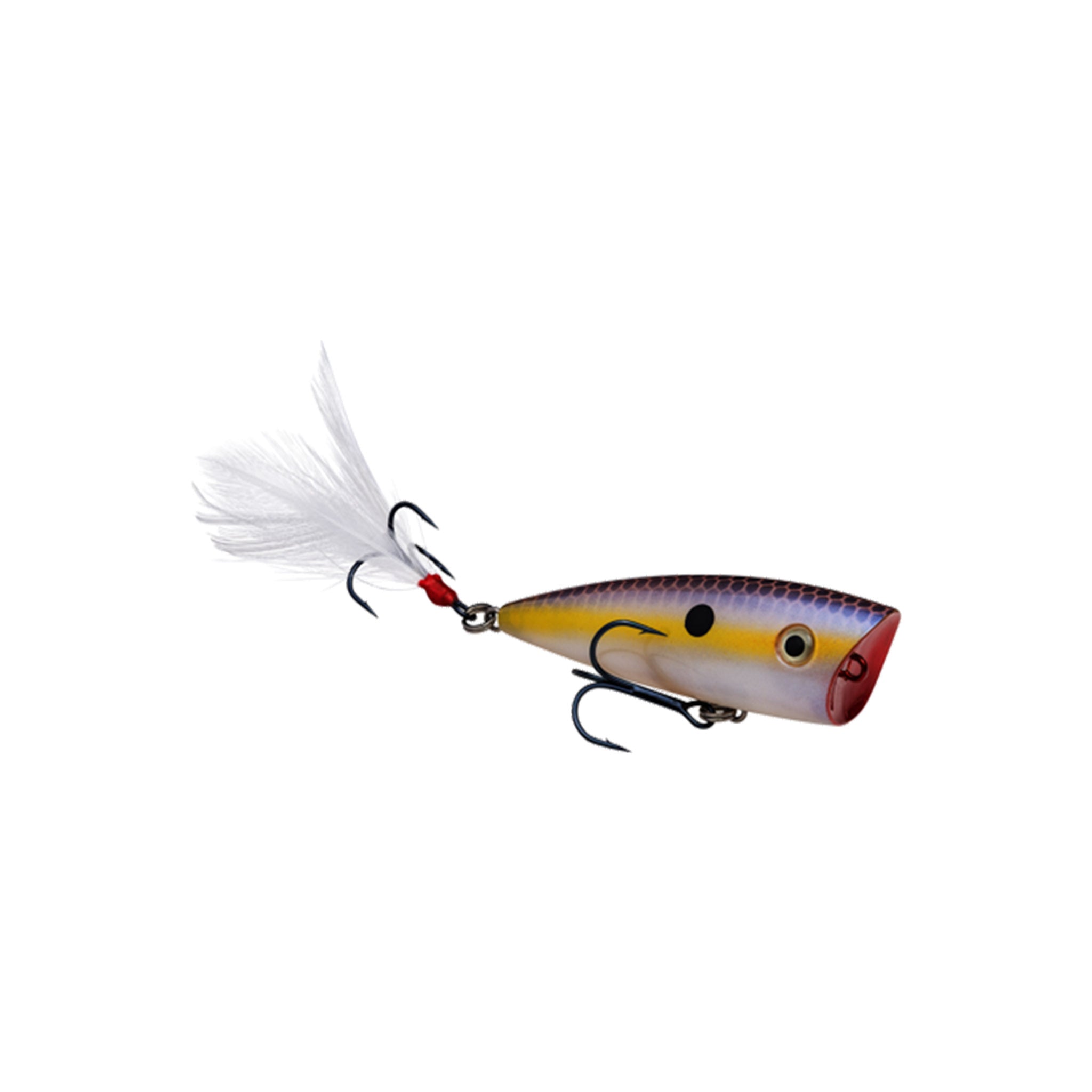 Strike King KVD Splash Popper