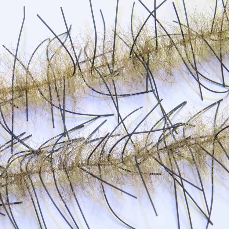 Just Add H2O Lively Legs Crustacean Brush