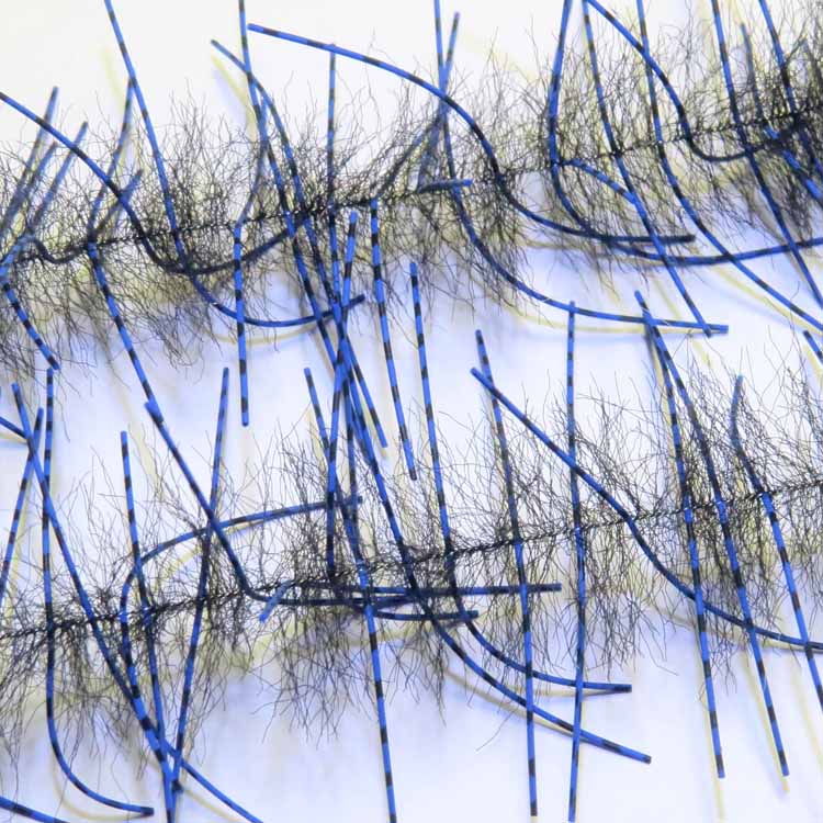 Just Add H2O Lively Legs Crustacean Brush