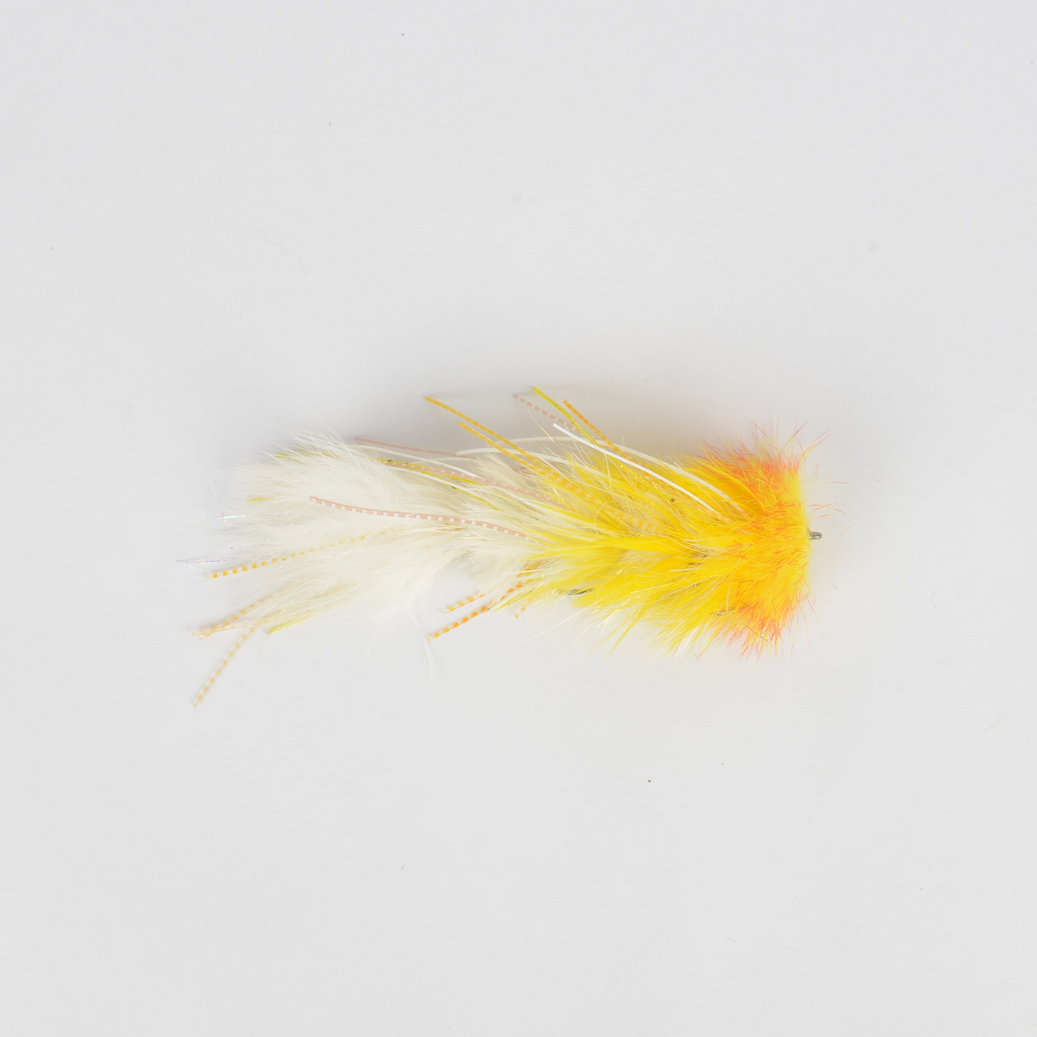 Mini Leggy Boi (Locally Tied)