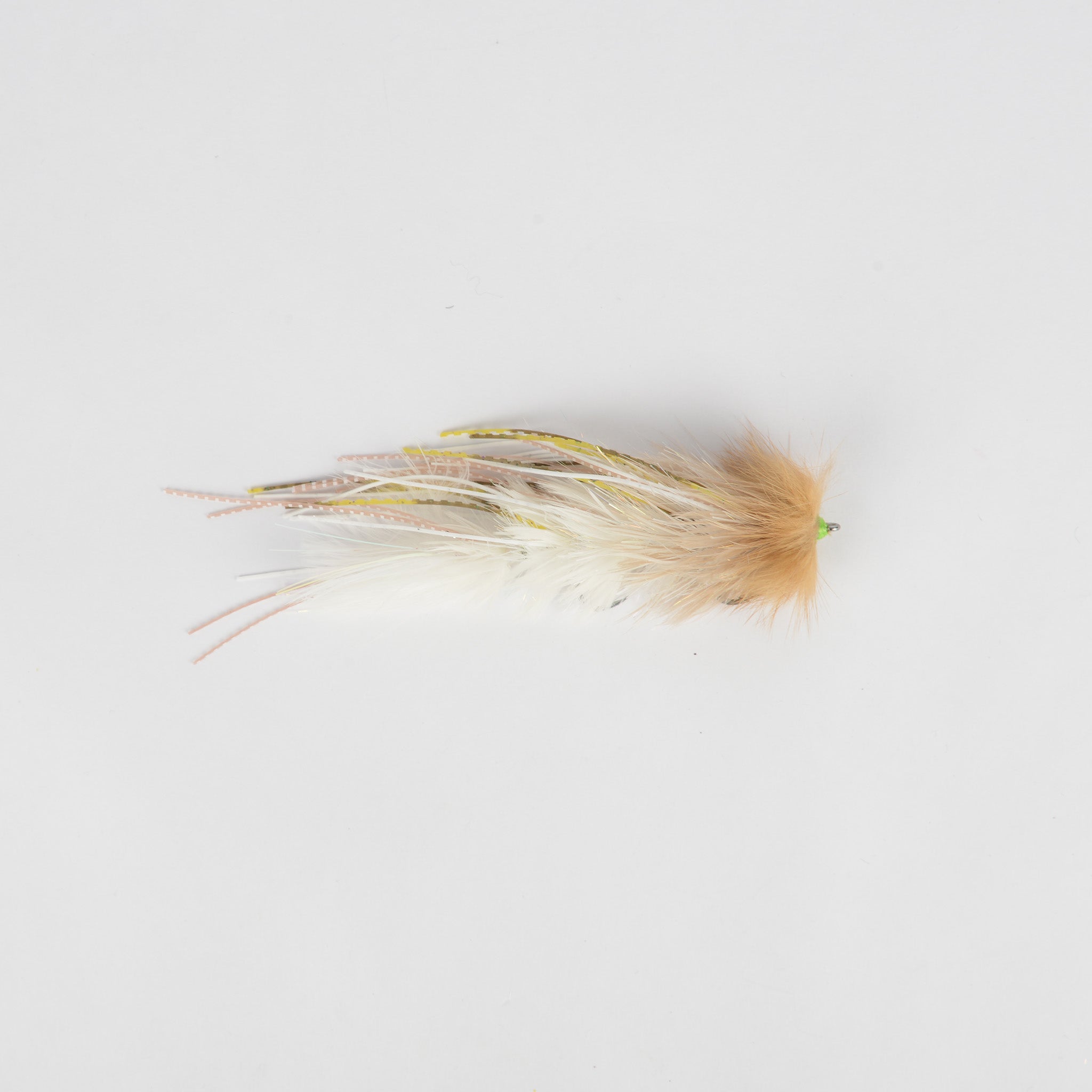 Mini Leggy Boi (Locally Tied)