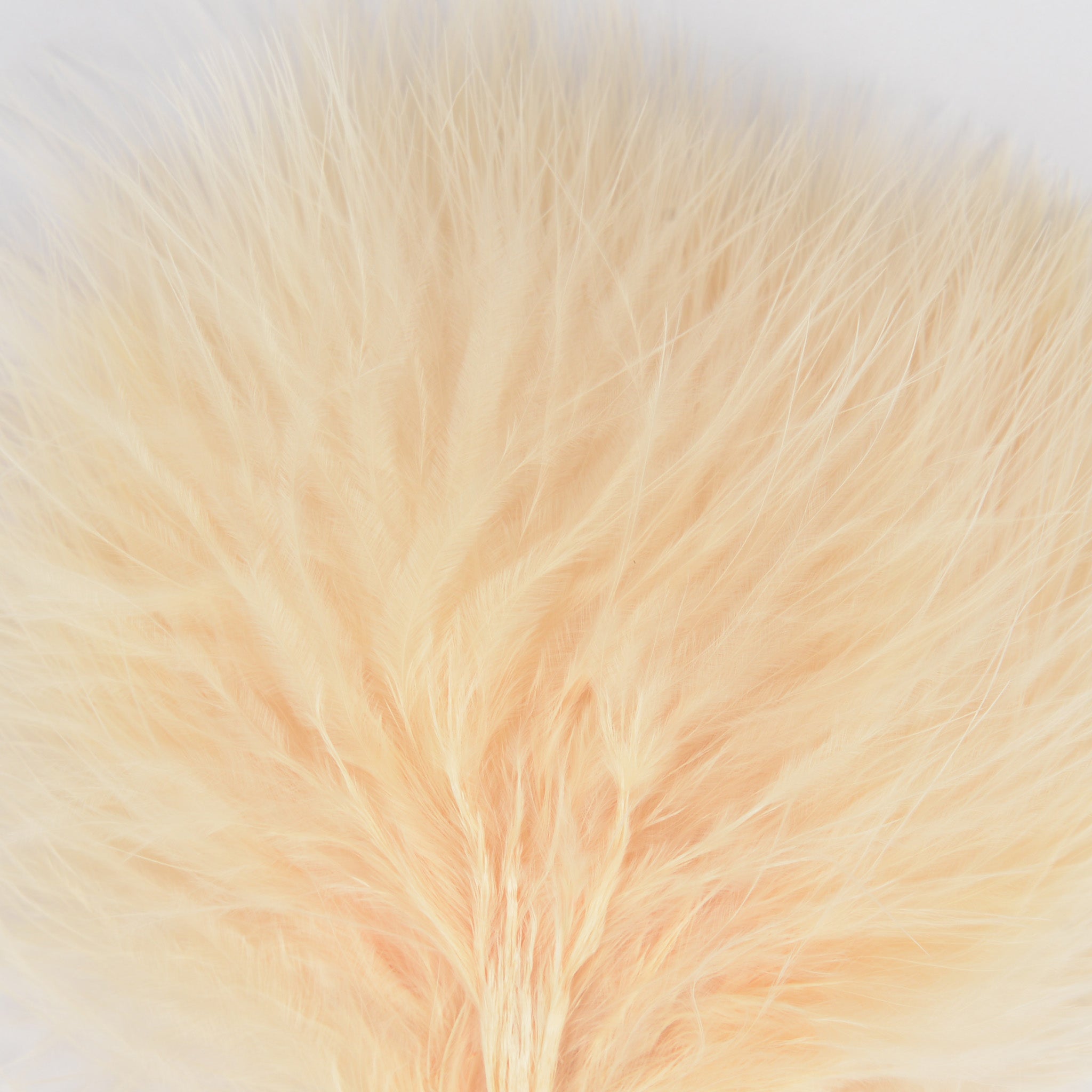 MFC Premium Marabou