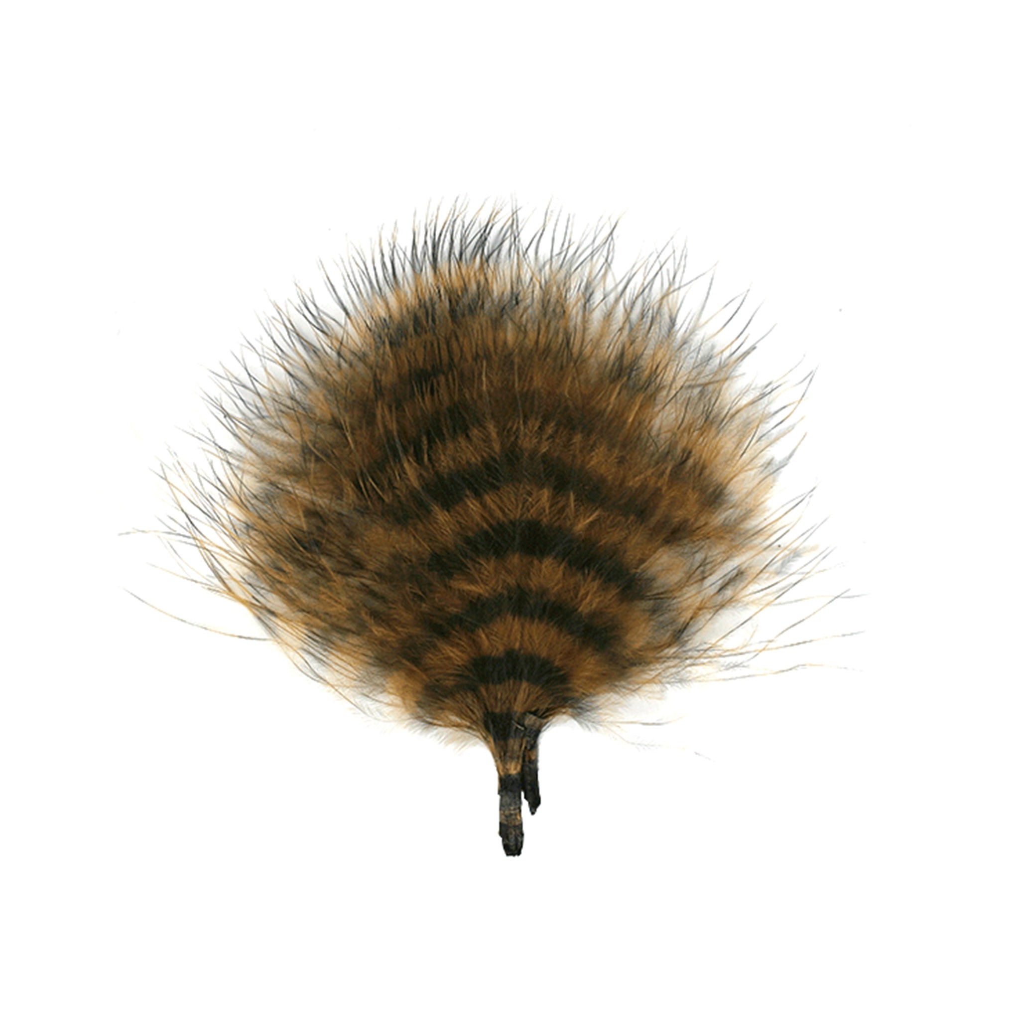 MFC Barred Marabou