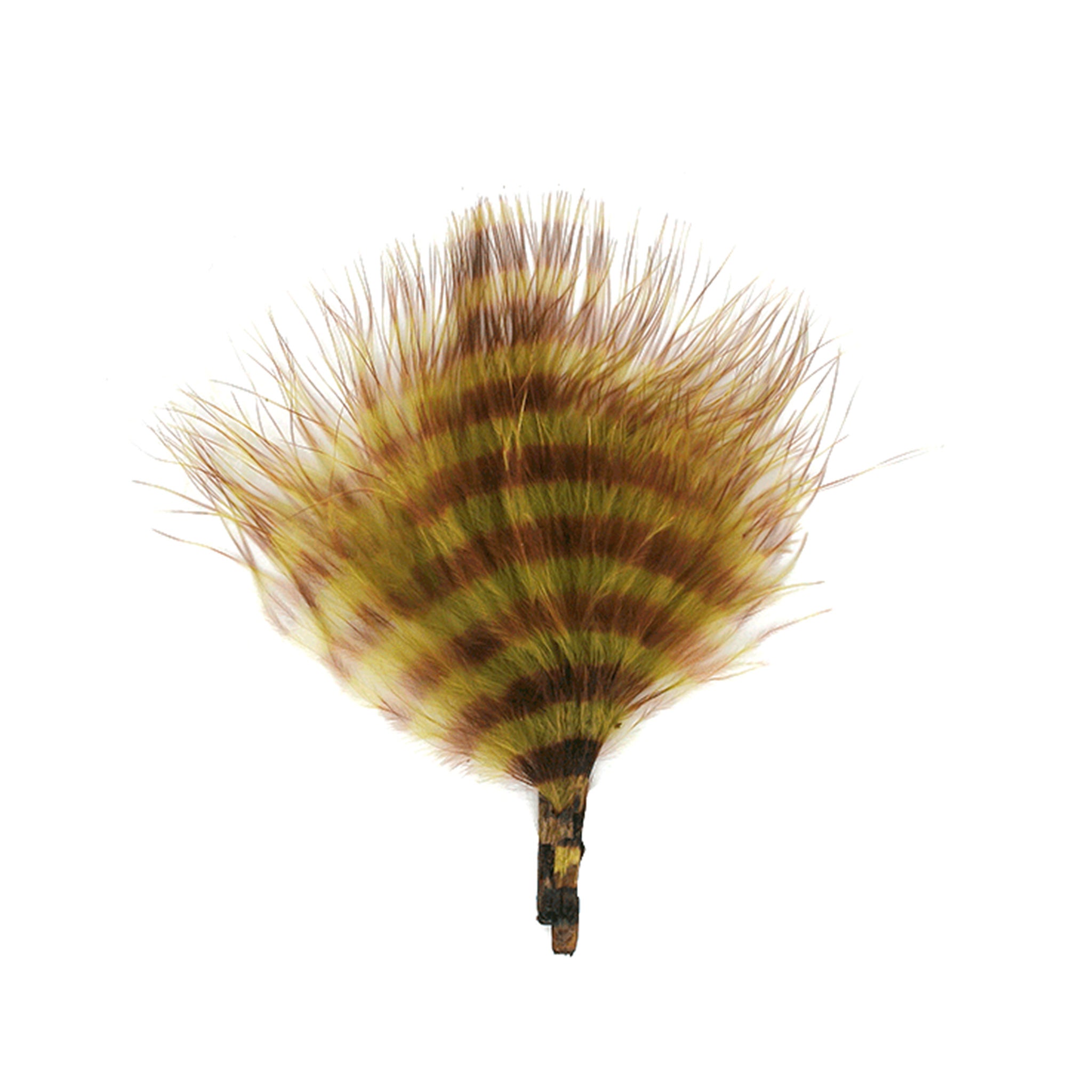 MFC Barred Marabou
