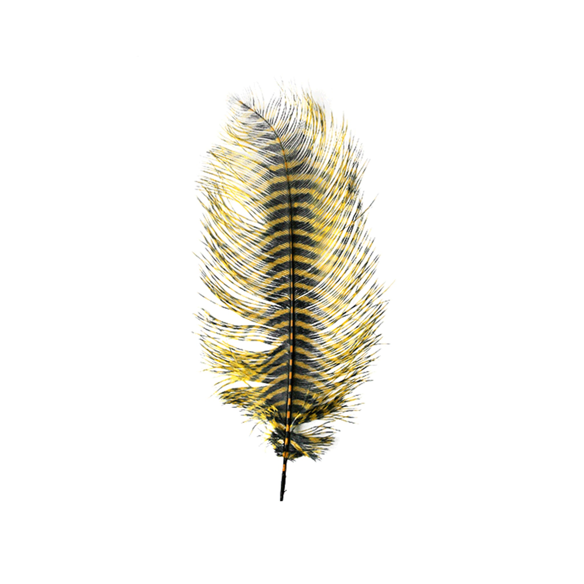 MFC Barred Ostrich Plumes